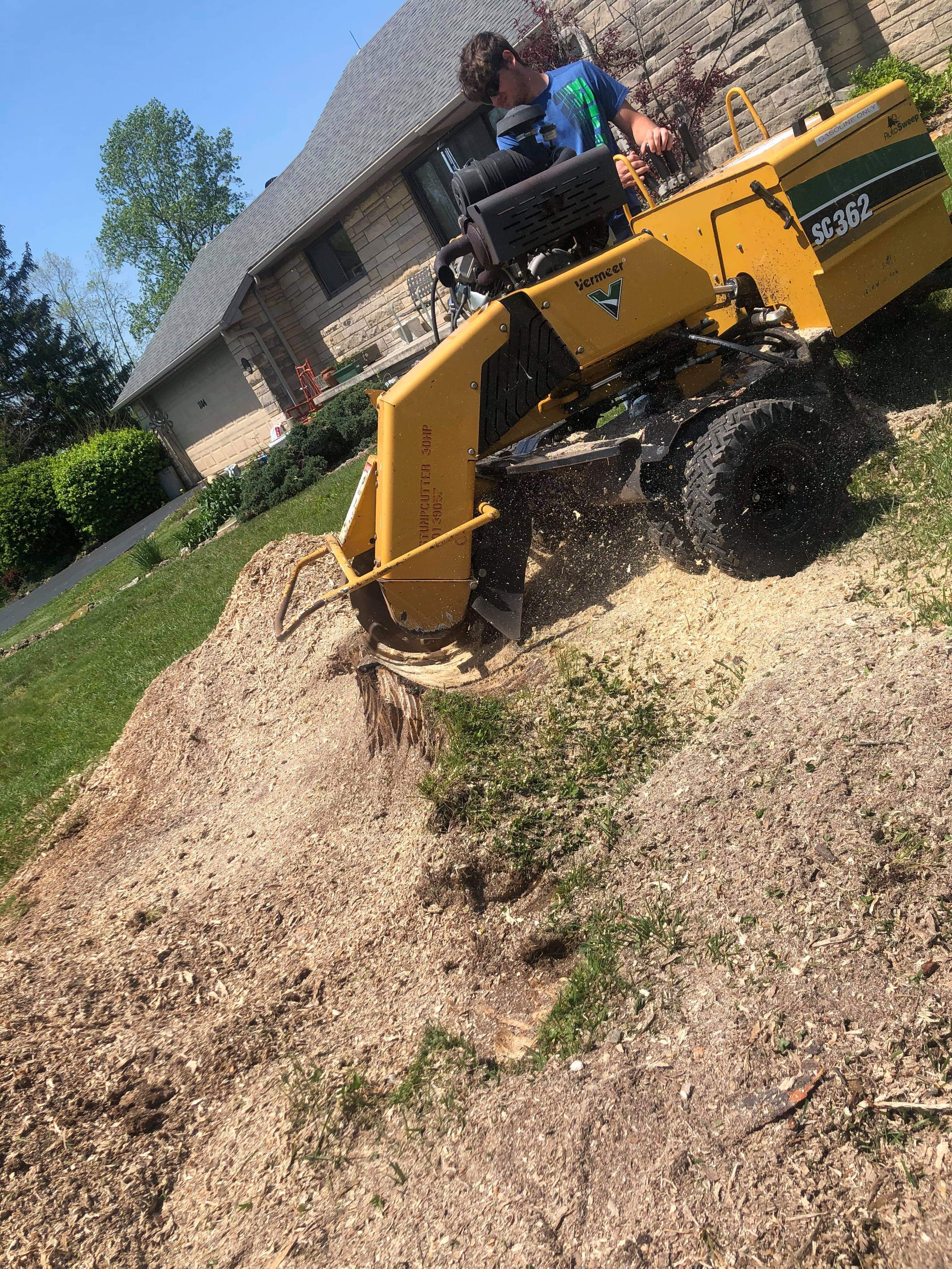 Pinter Stump Grinding Logo