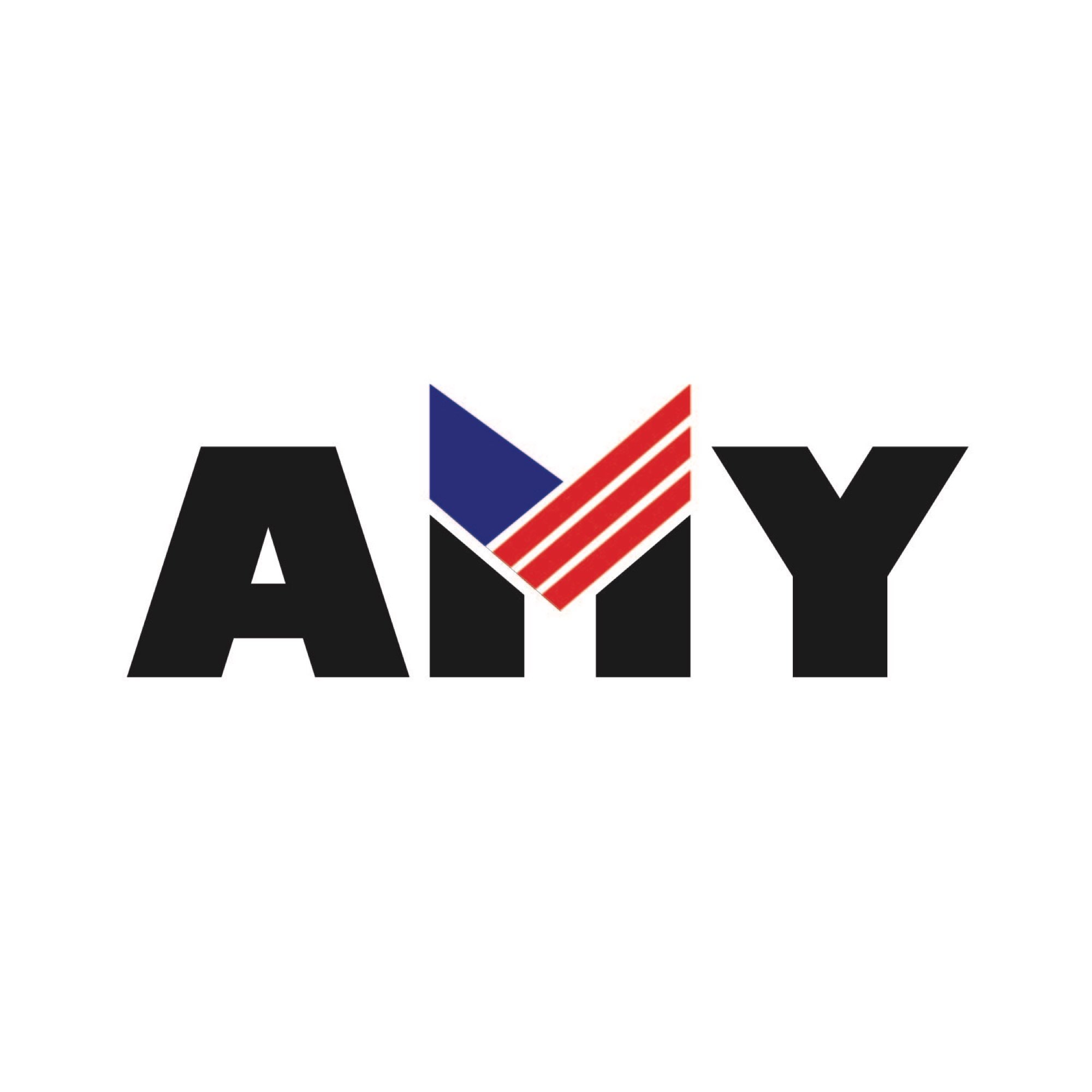 Amy Construction, LLC Logo
