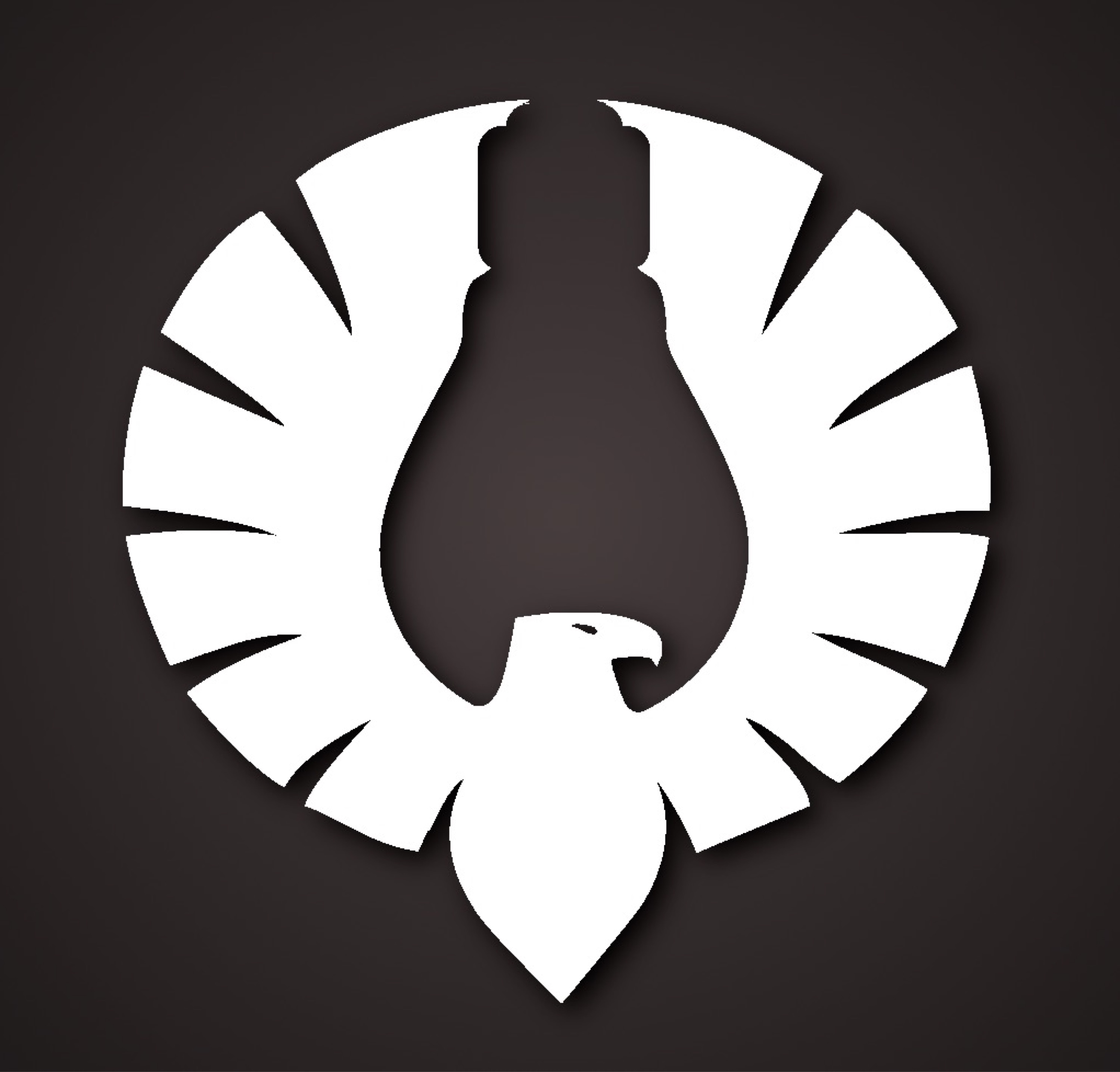Eagle R Electrical Logo