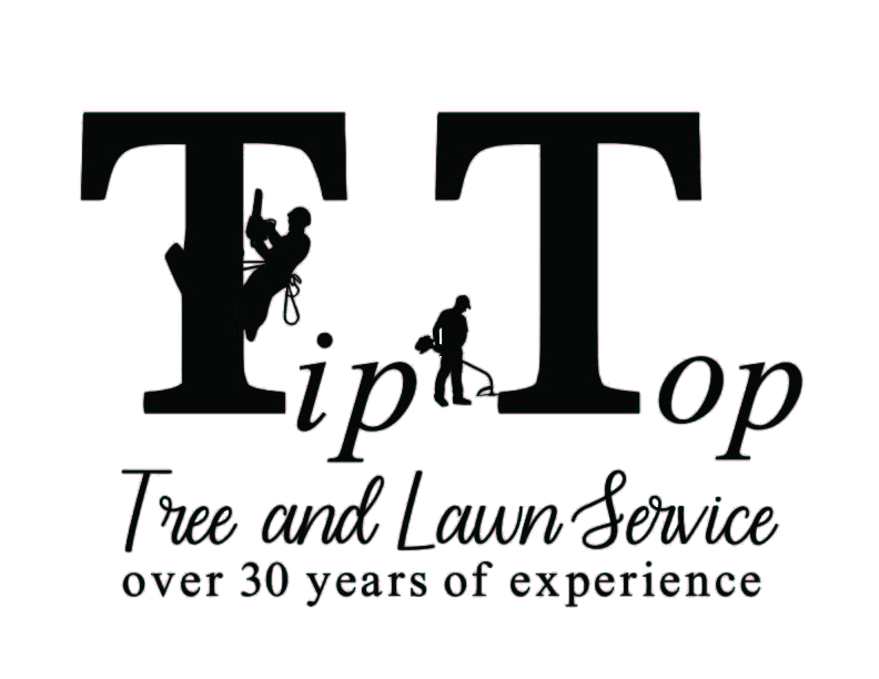 Tip Top Lawn And Tree Service Logo