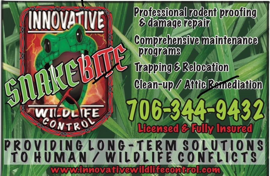 Snakebite Innovative Wildlife Control Logo