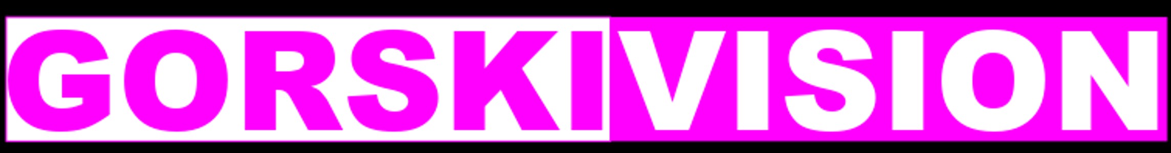 GorskiVision, LLC Logo