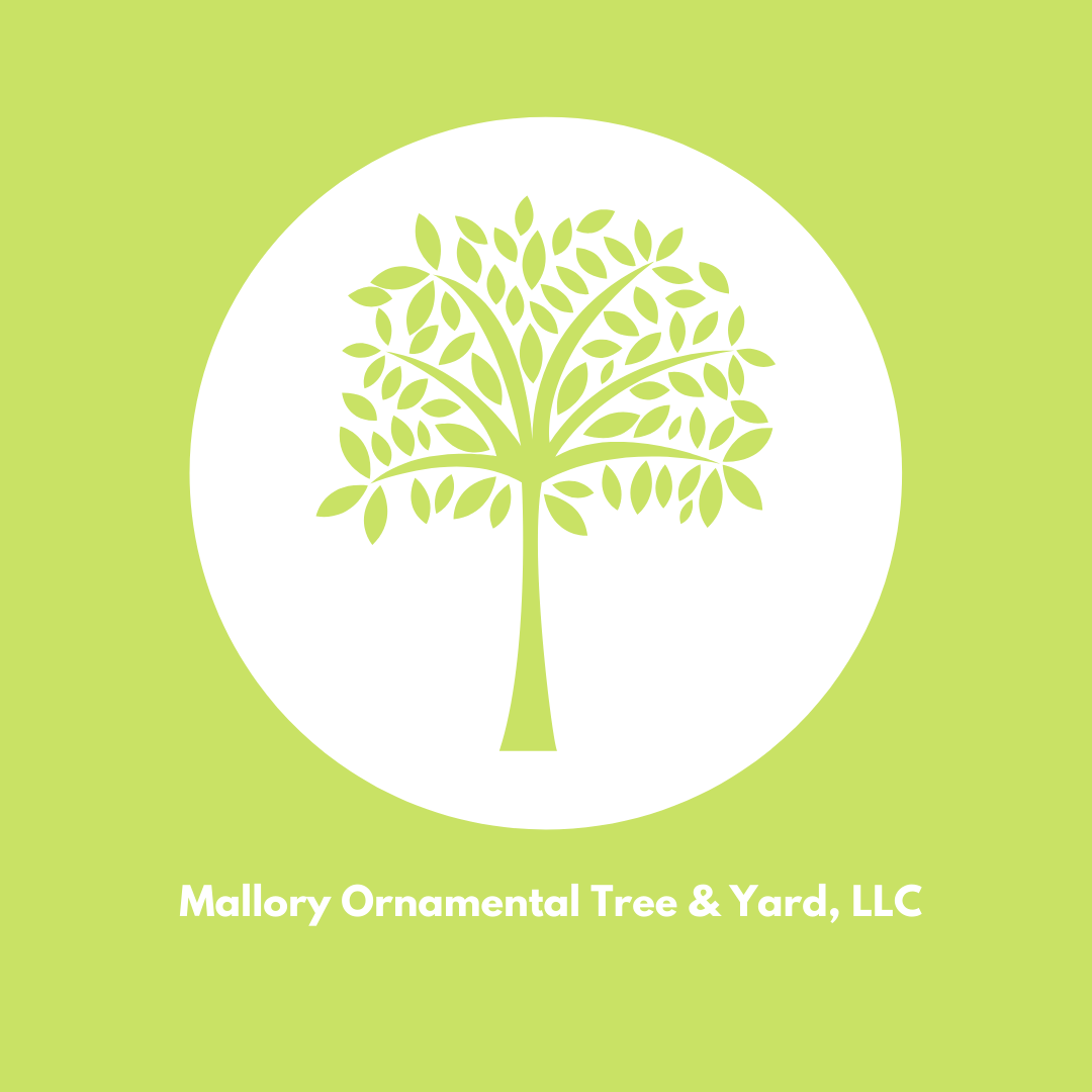 Mallory Ornamental Tree and Yard, LLC Logo