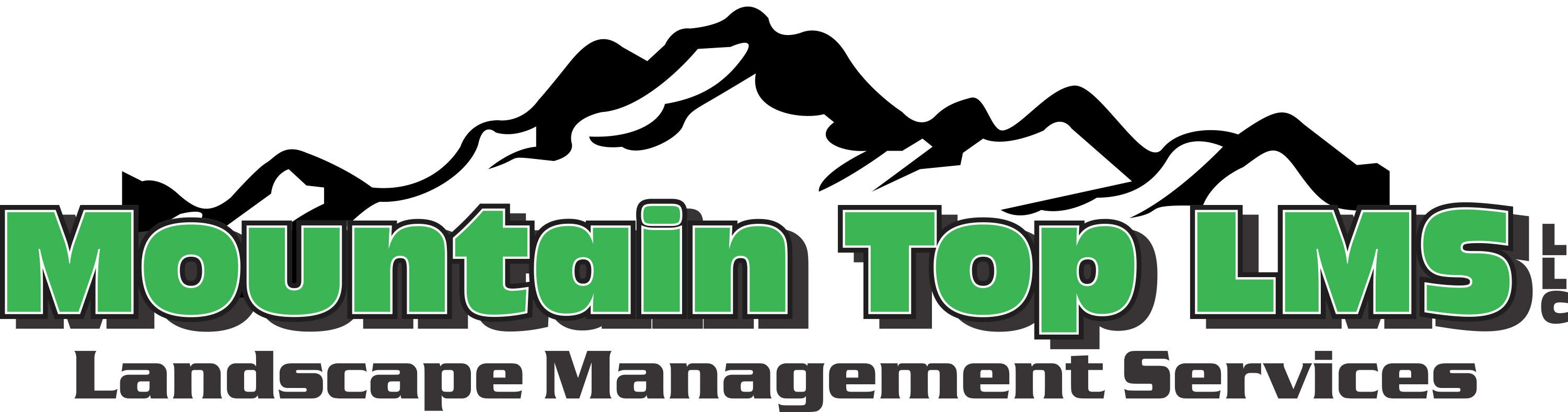 Mountain Top LMS Logo