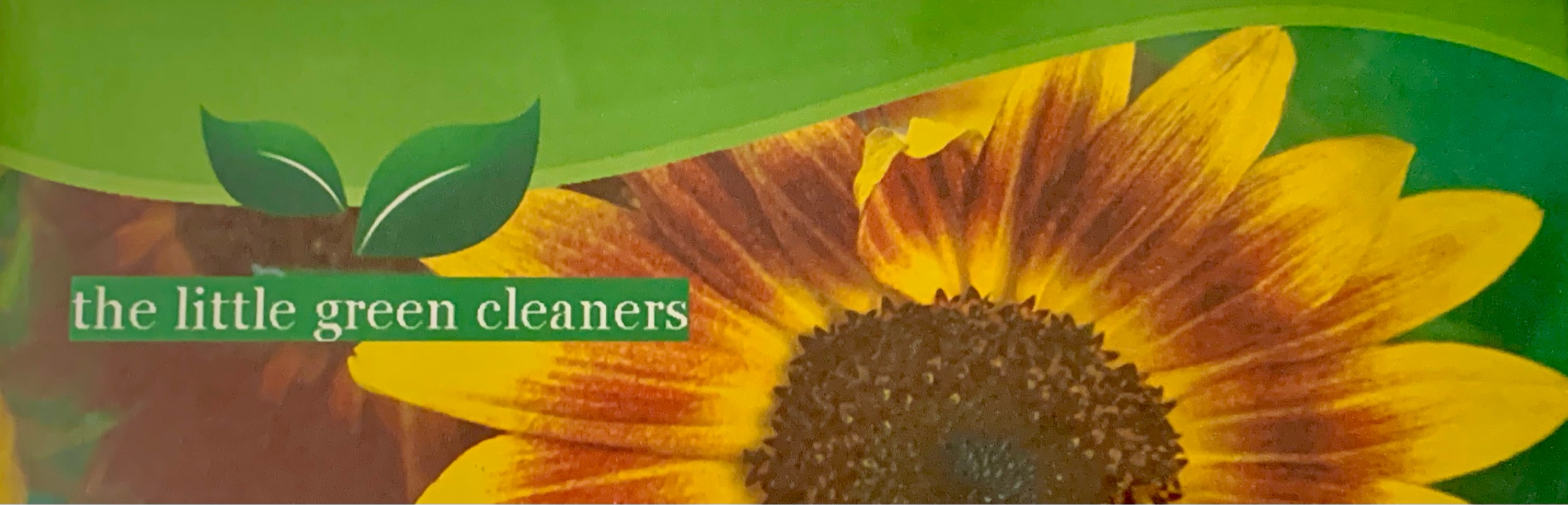 The Little Green Cleaners Logo