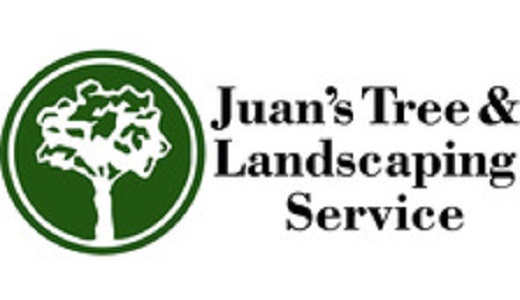 Juan's Tree & Landscaping Service Logo