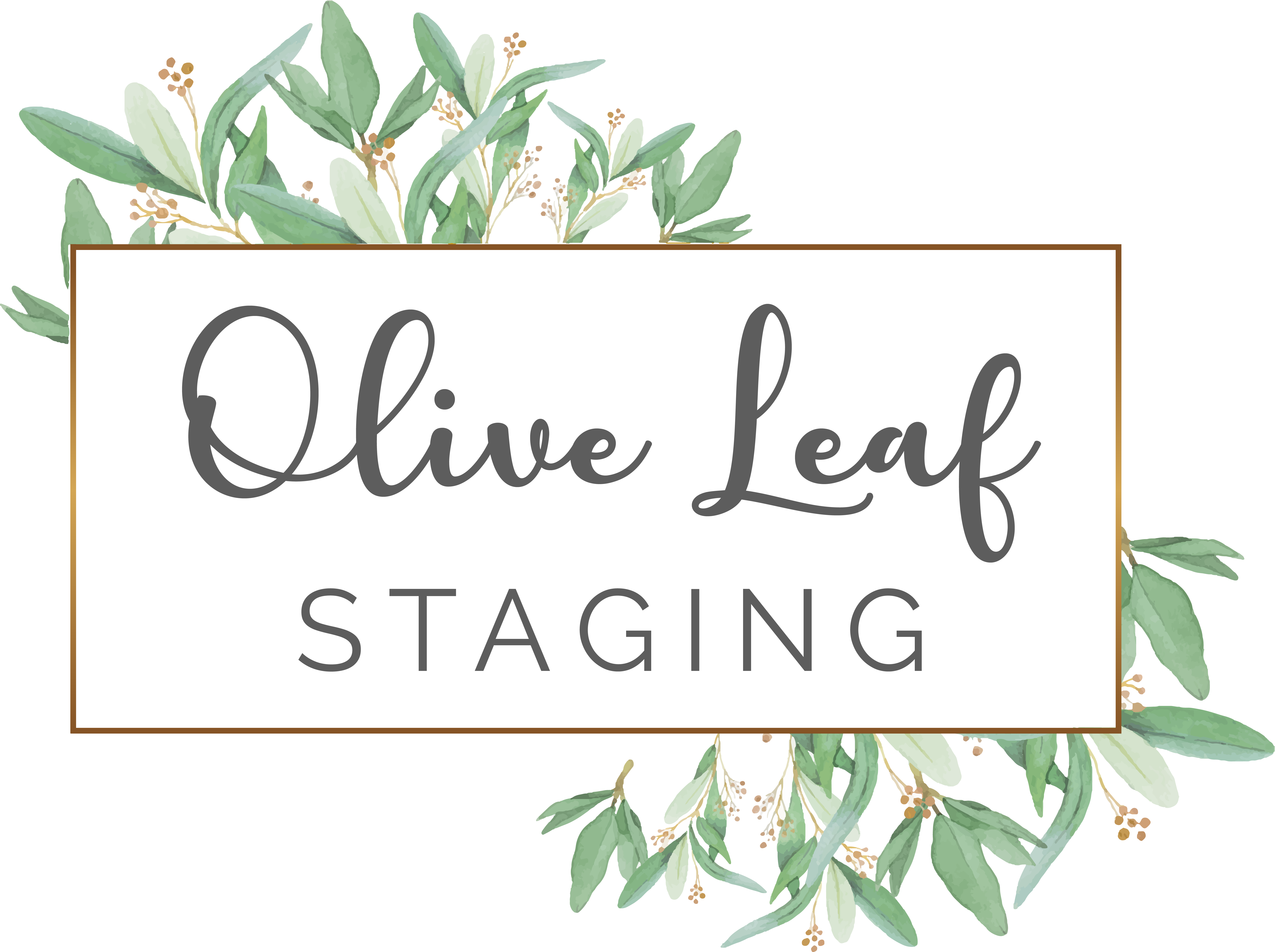 Olive Leaf Staging Logo