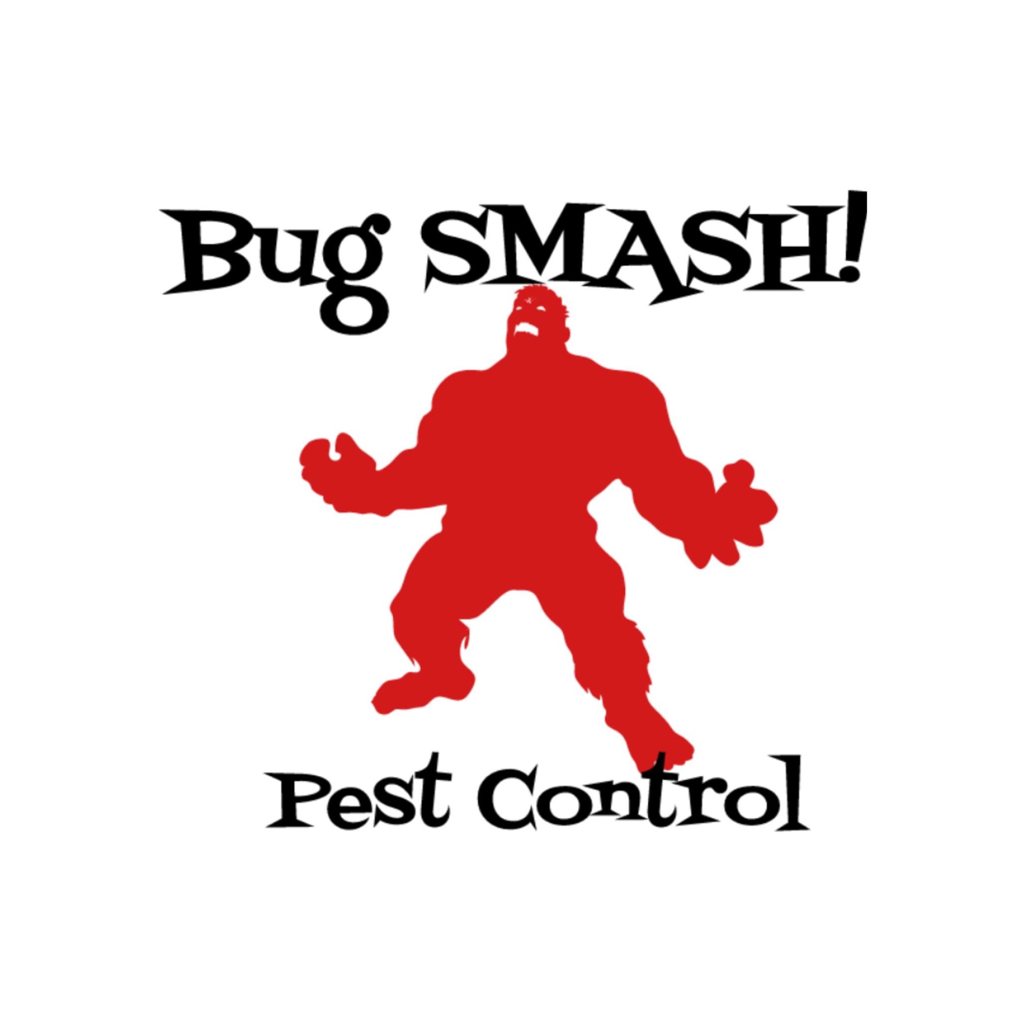 Bug SMASH! Logo