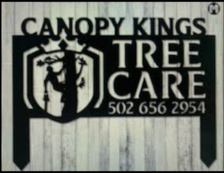 Canopy Kings Tree Removal Logo
