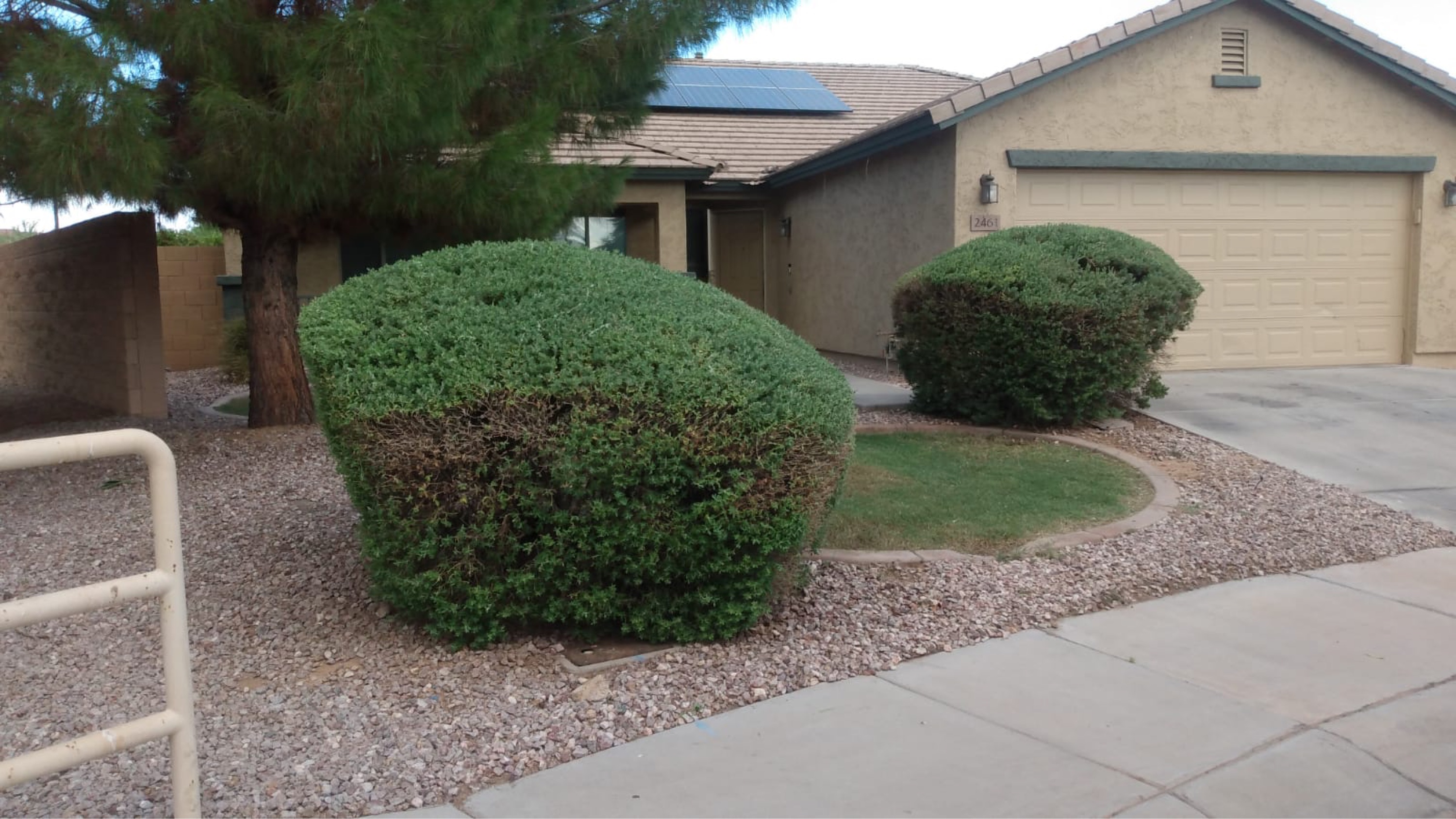 Lagunas Lawn Care, LLC Logo