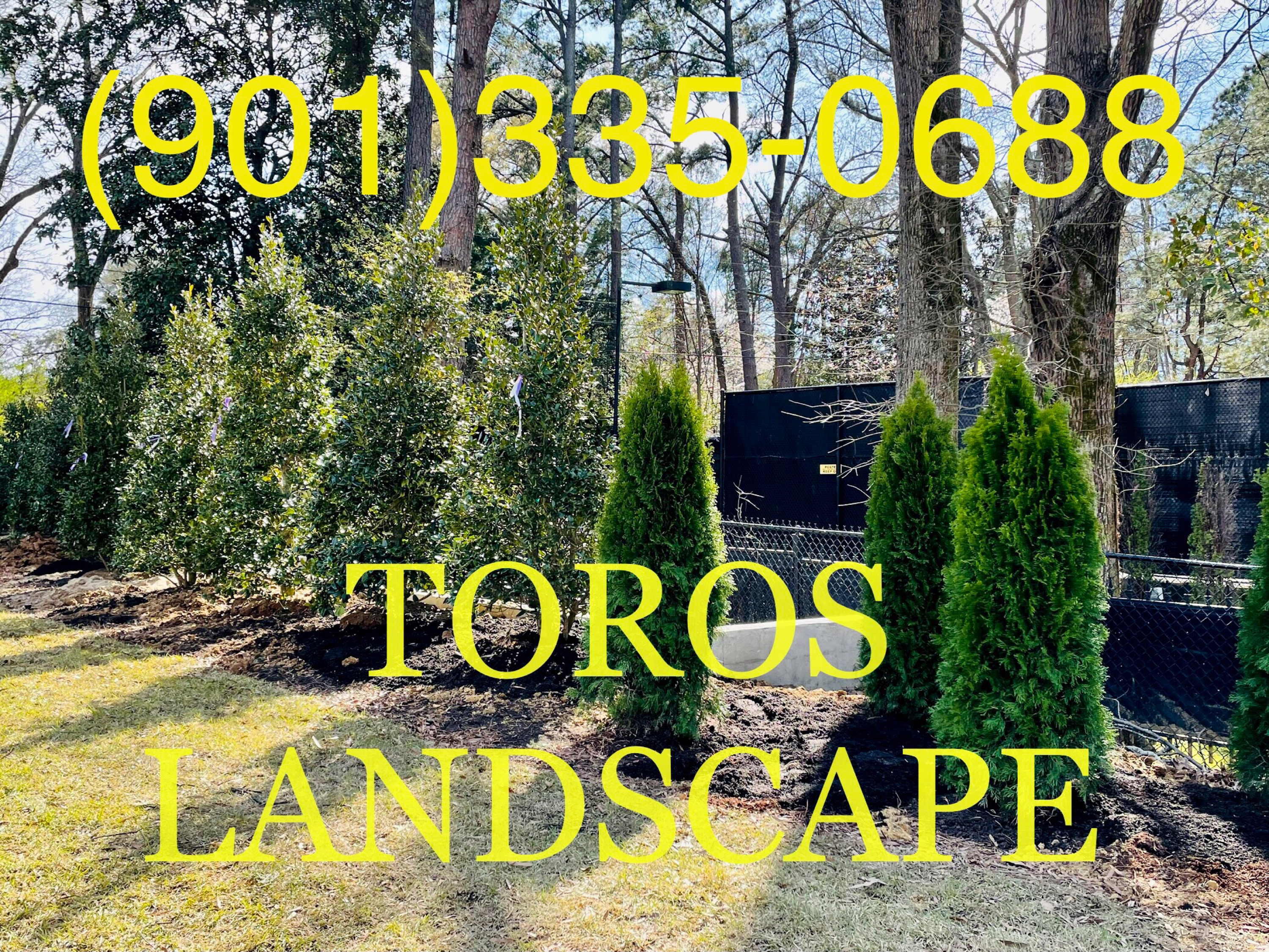 Toros Landscape Logo