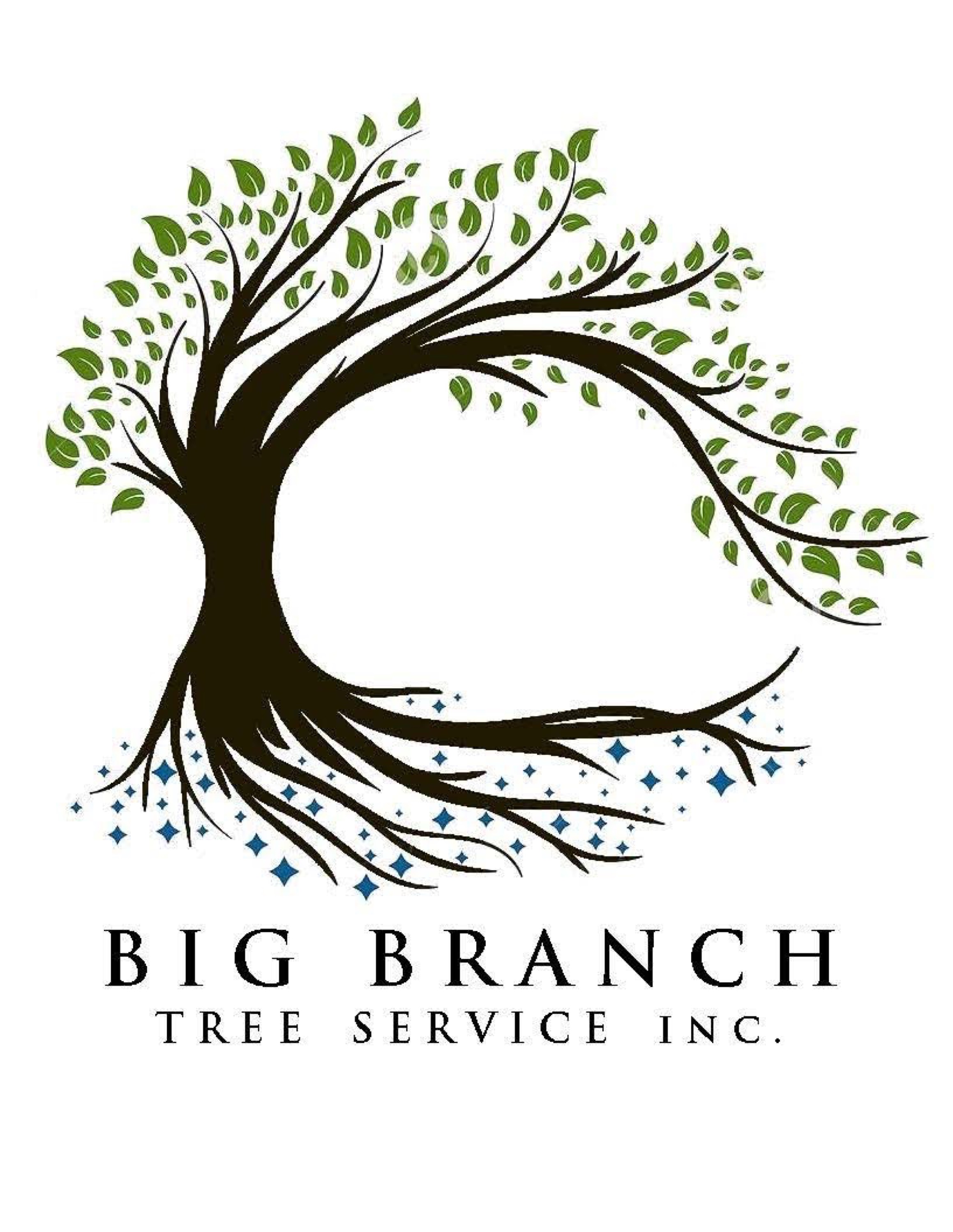 Big Branch Tree Service Logo