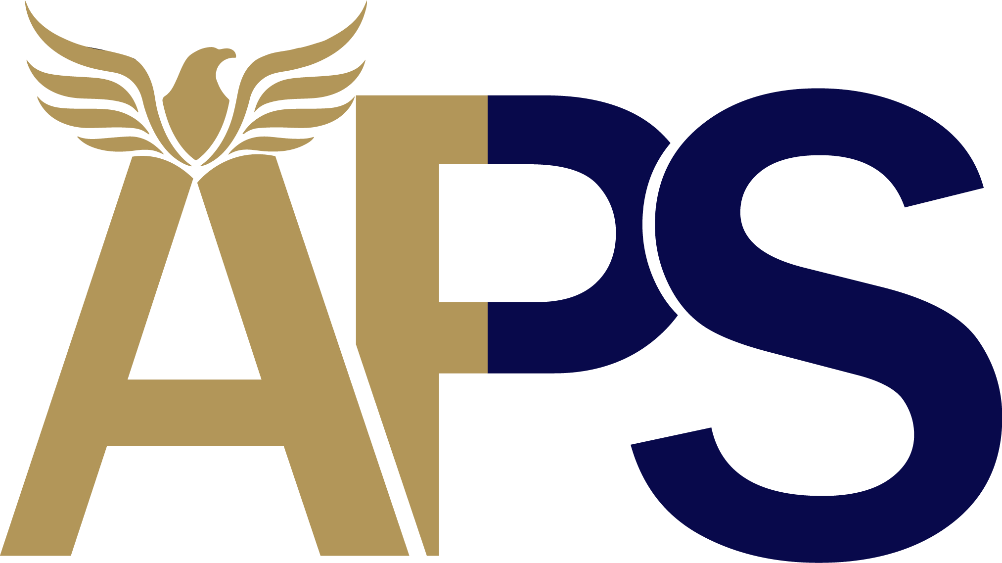 American Property Services Inc Logo