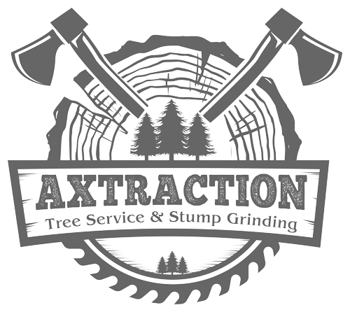 Axtraction Logo