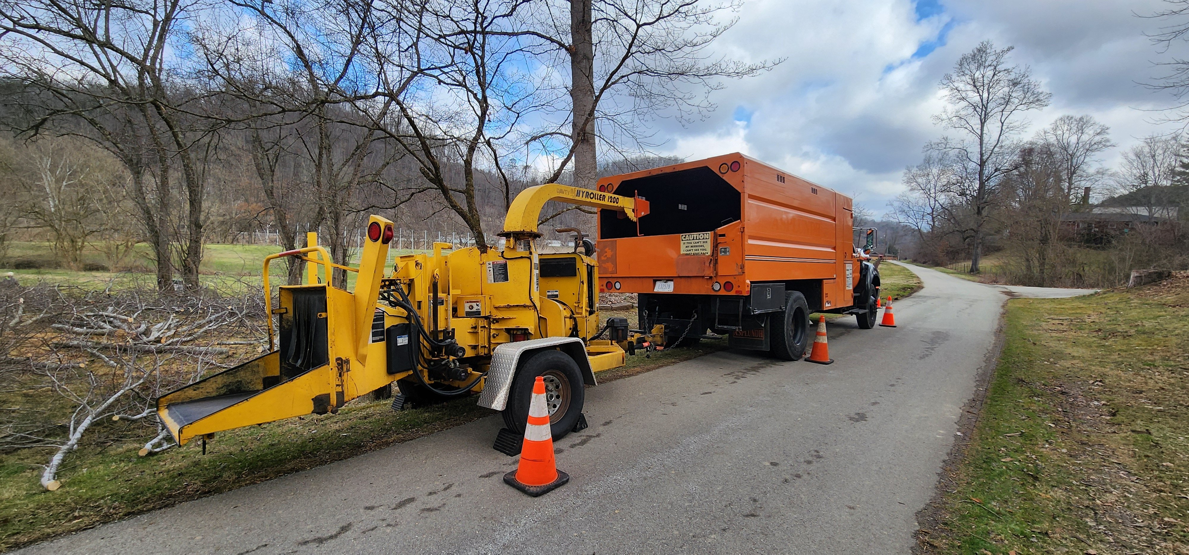 Climb High Tree Service Logo