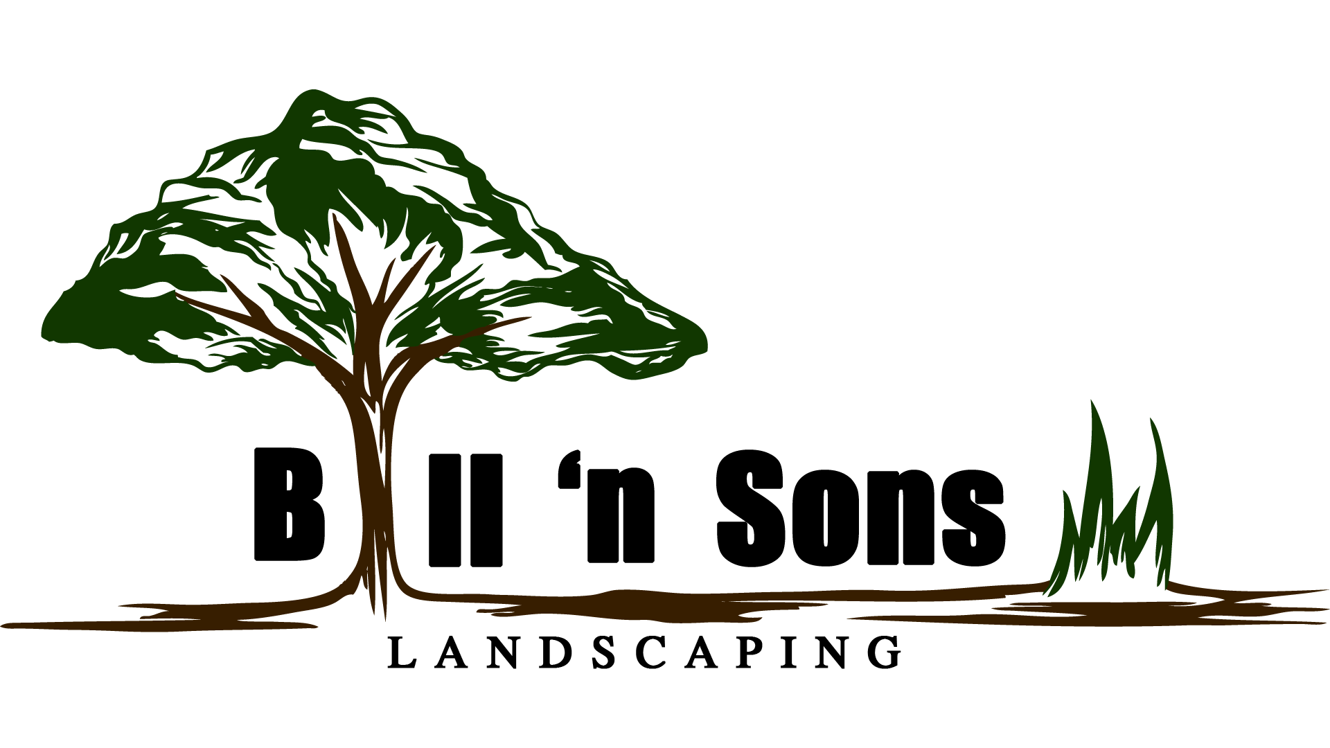 Bill & Sons Landscaping Logo