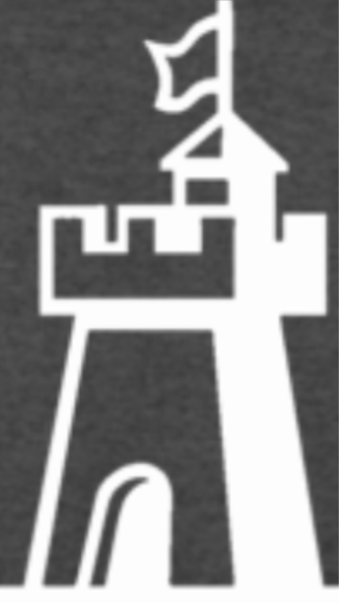 Castle Plumbing Logo
