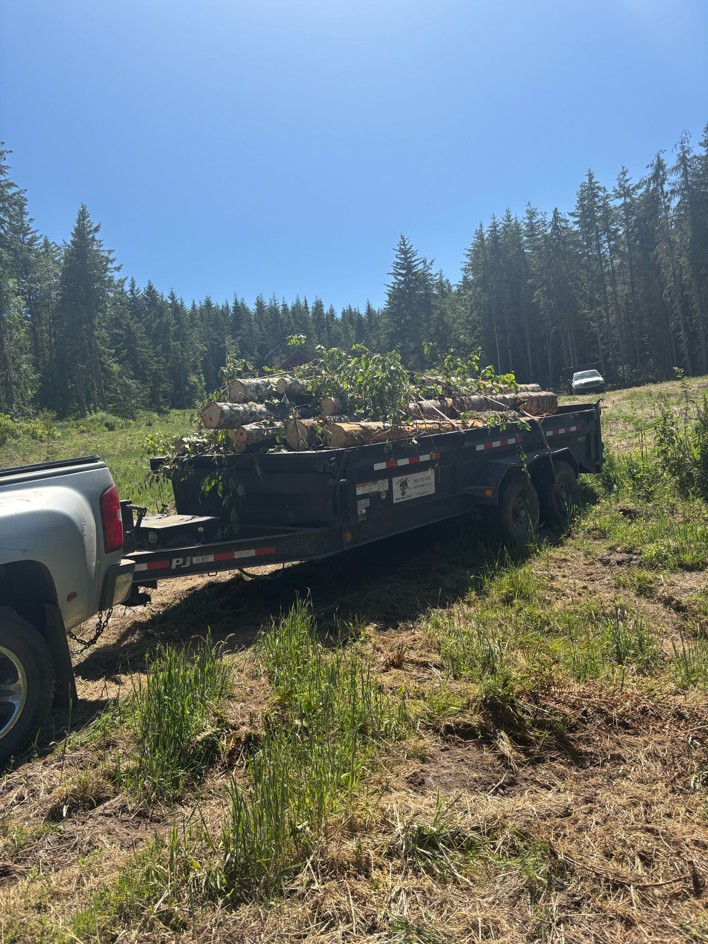 Stigall Tree Service, LLC Logo