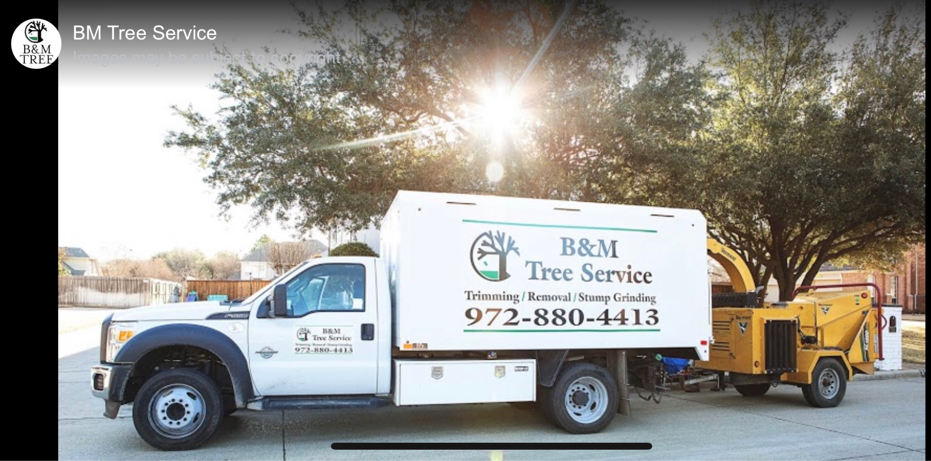 B & M Tree Trimming Service, LLC Logo