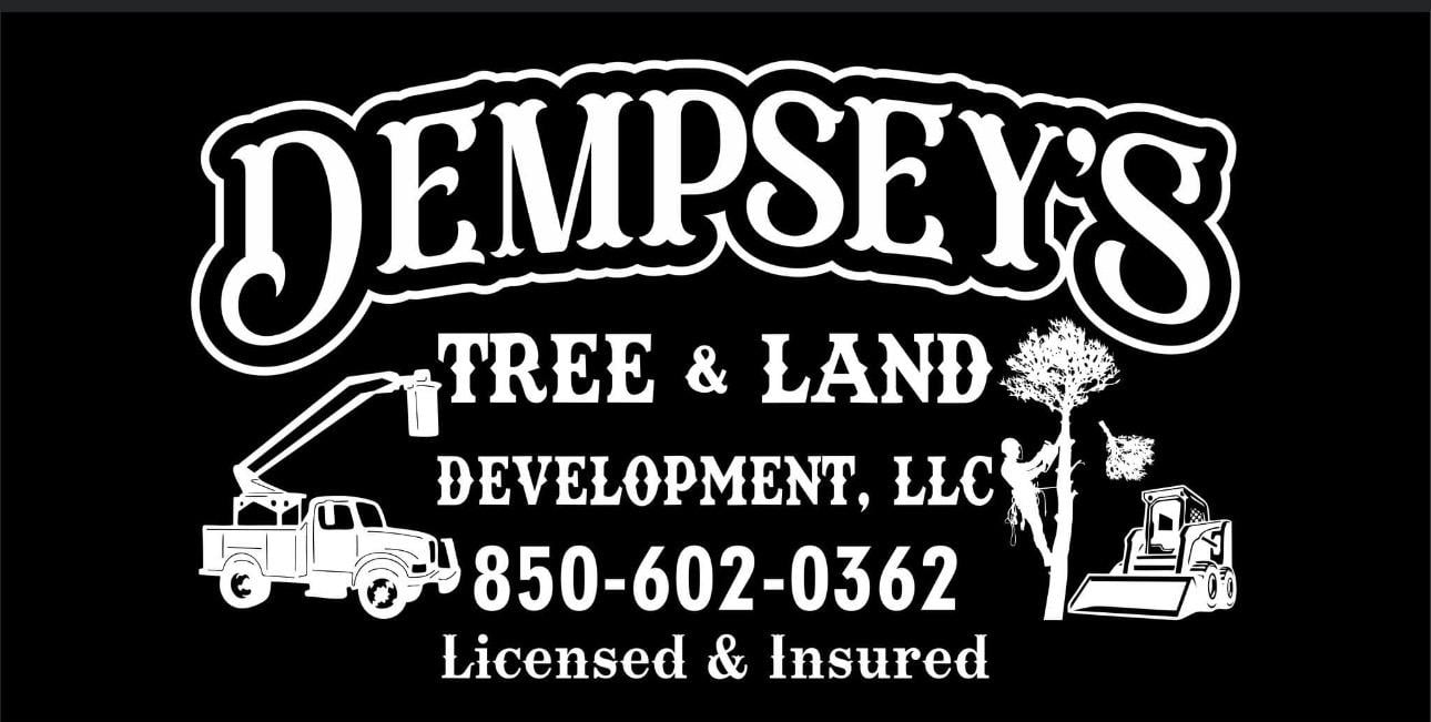 Dempsey Heavy Equipment Services Logo