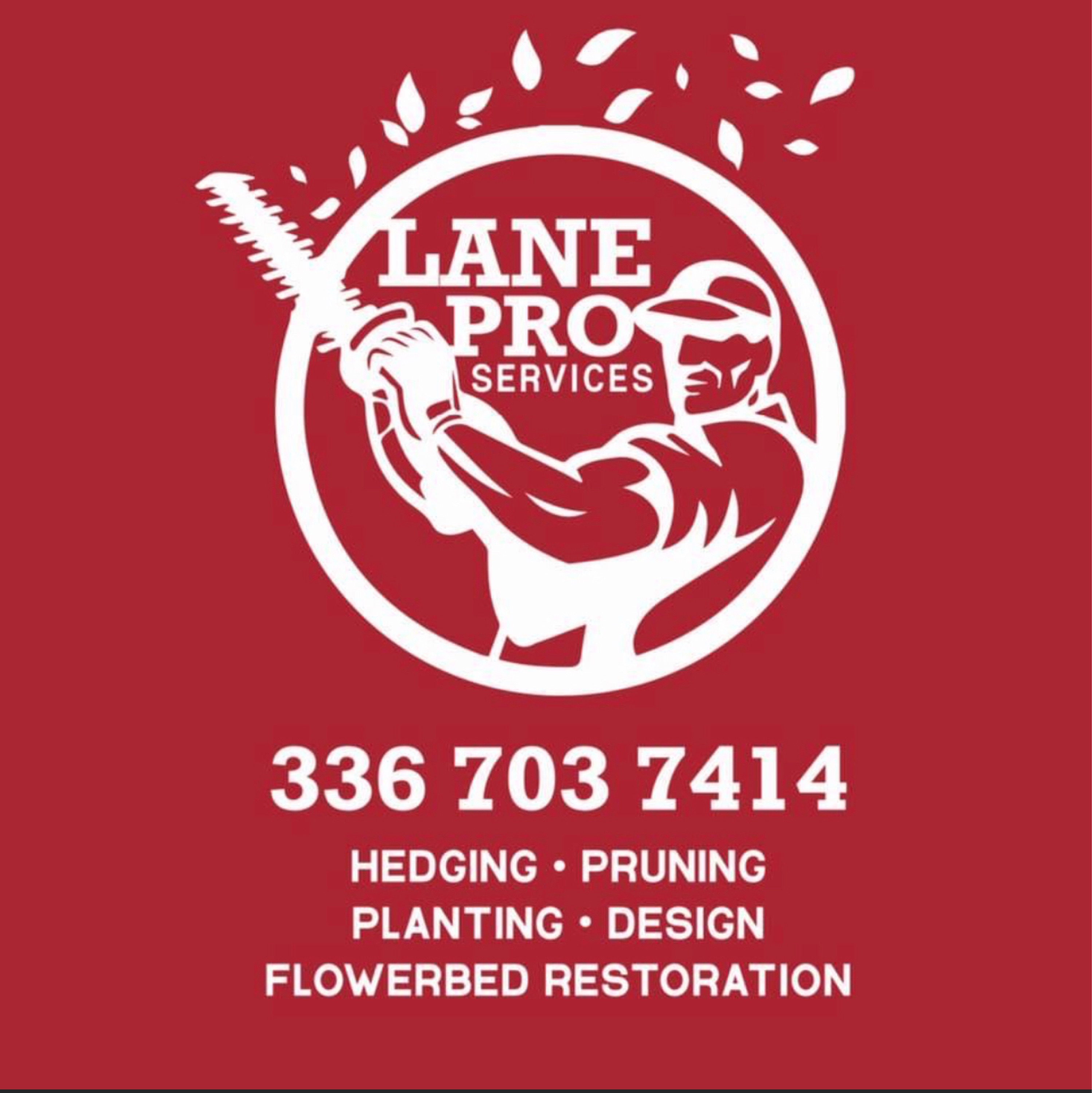 Lane Professional Services Logo