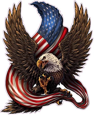 All American Environmental Services, LLC Logo