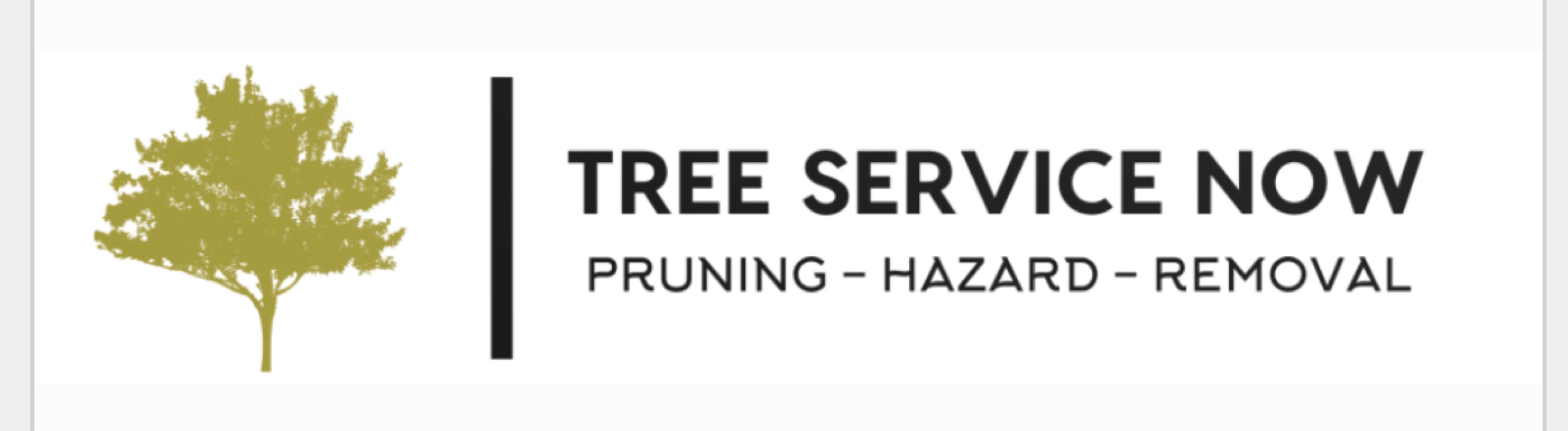 Tree Service Now, LLC Logo