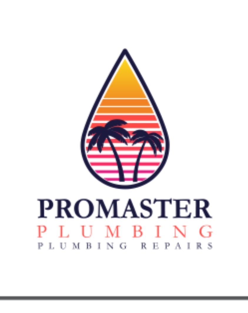 Mohammad Housmandi The Promaster Logo