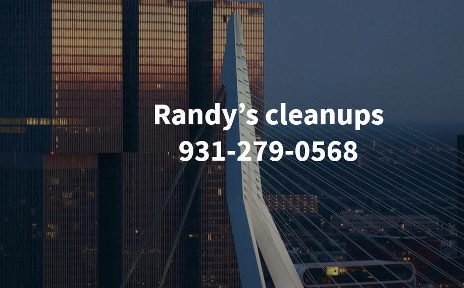 Randy's Clean Ups Logo