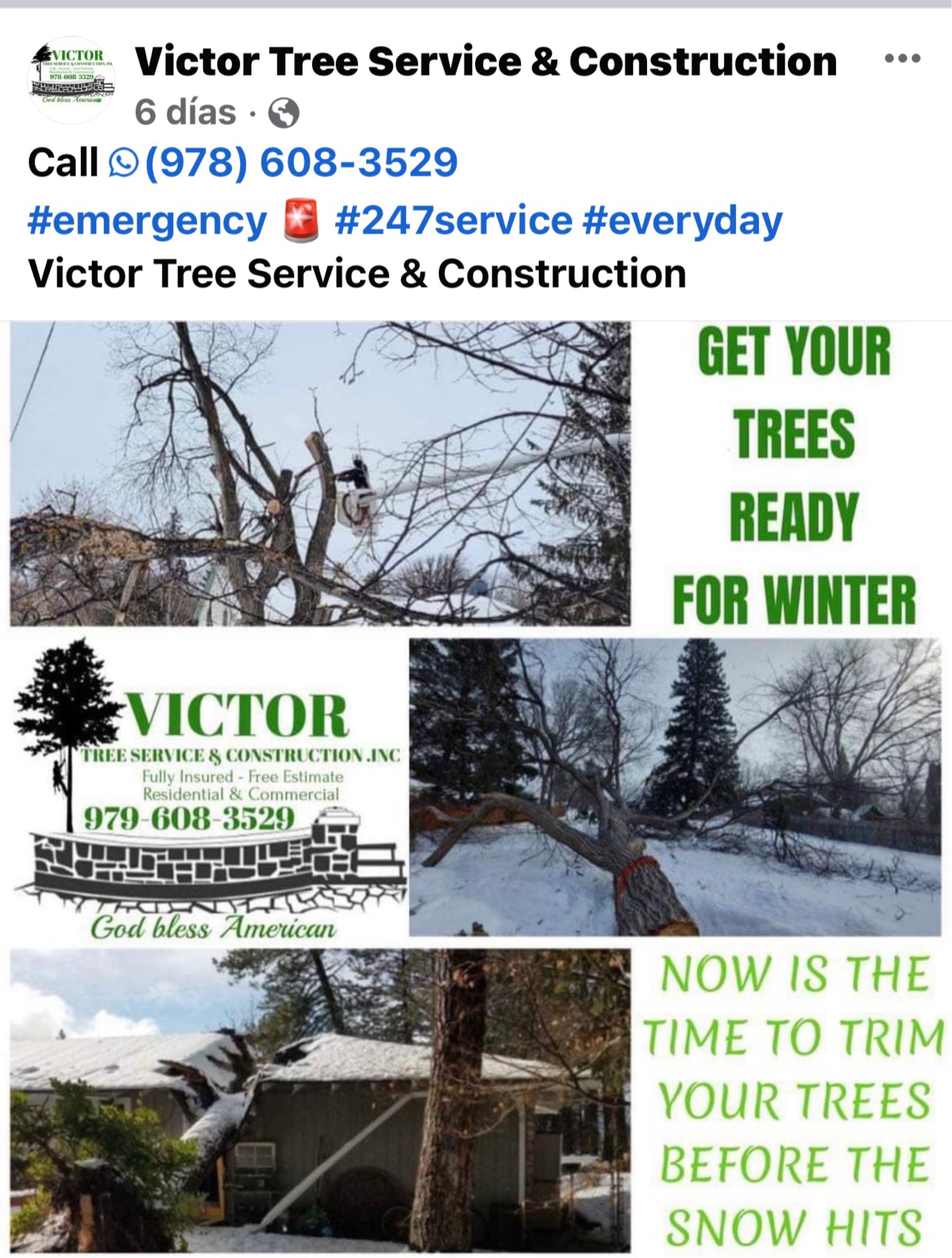 Victor Tree Services & Construction Inc Logo