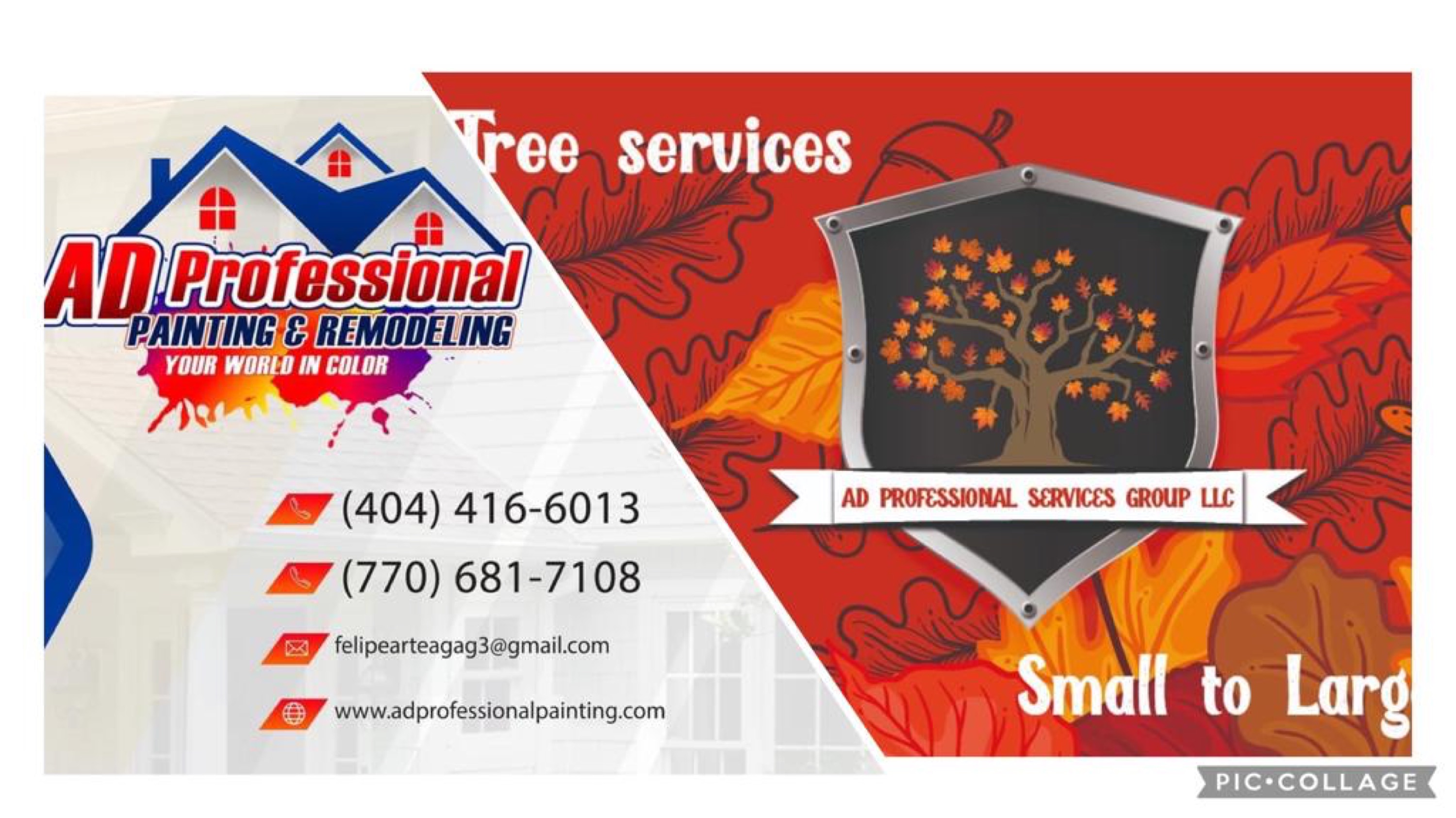 AD Professional Services Group LLC Logo