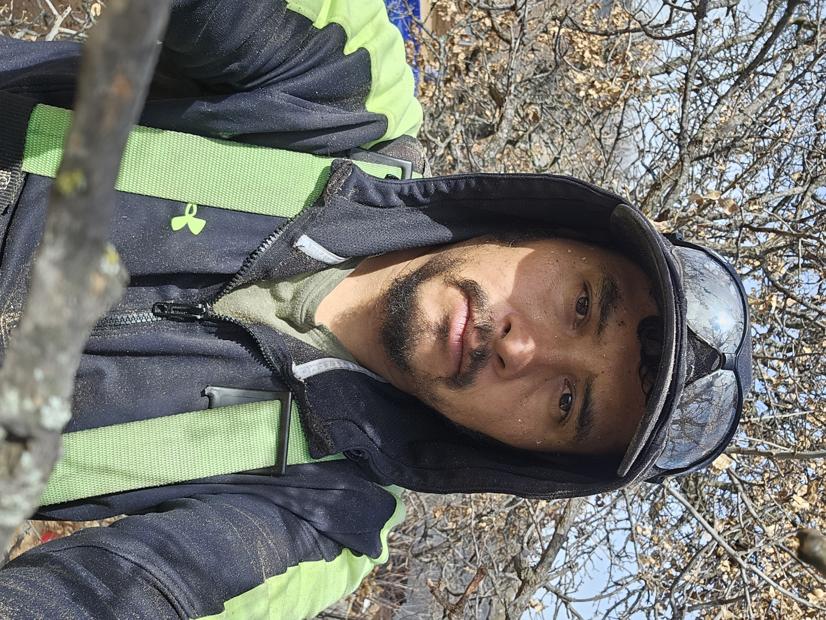 Gio's Tree Service Logo