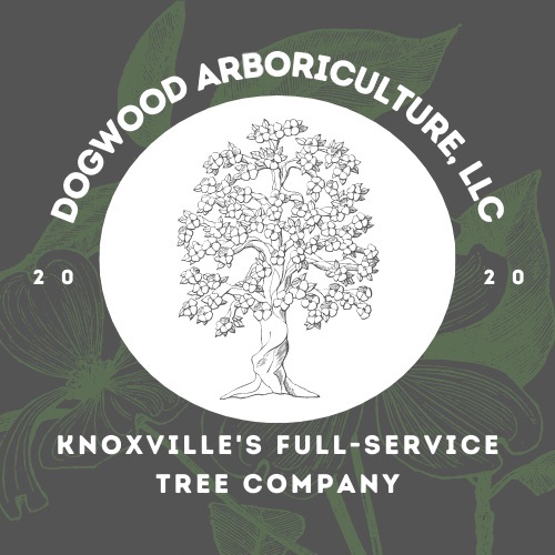 Dogwood Arboriculture Logo