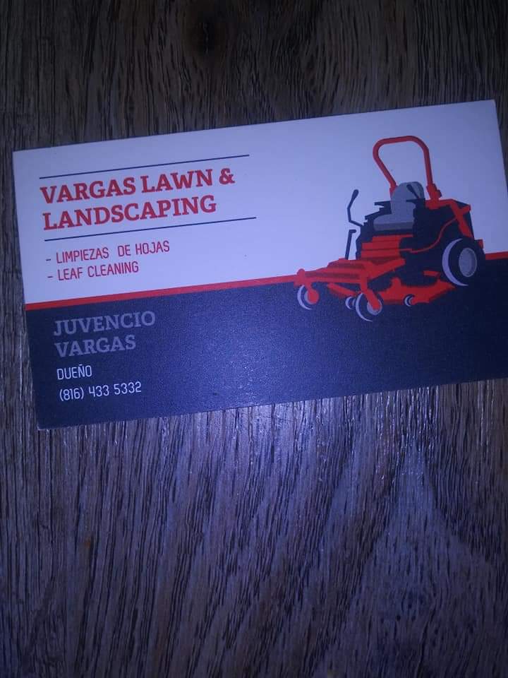 Vargas Lawn & Landscaping Logo