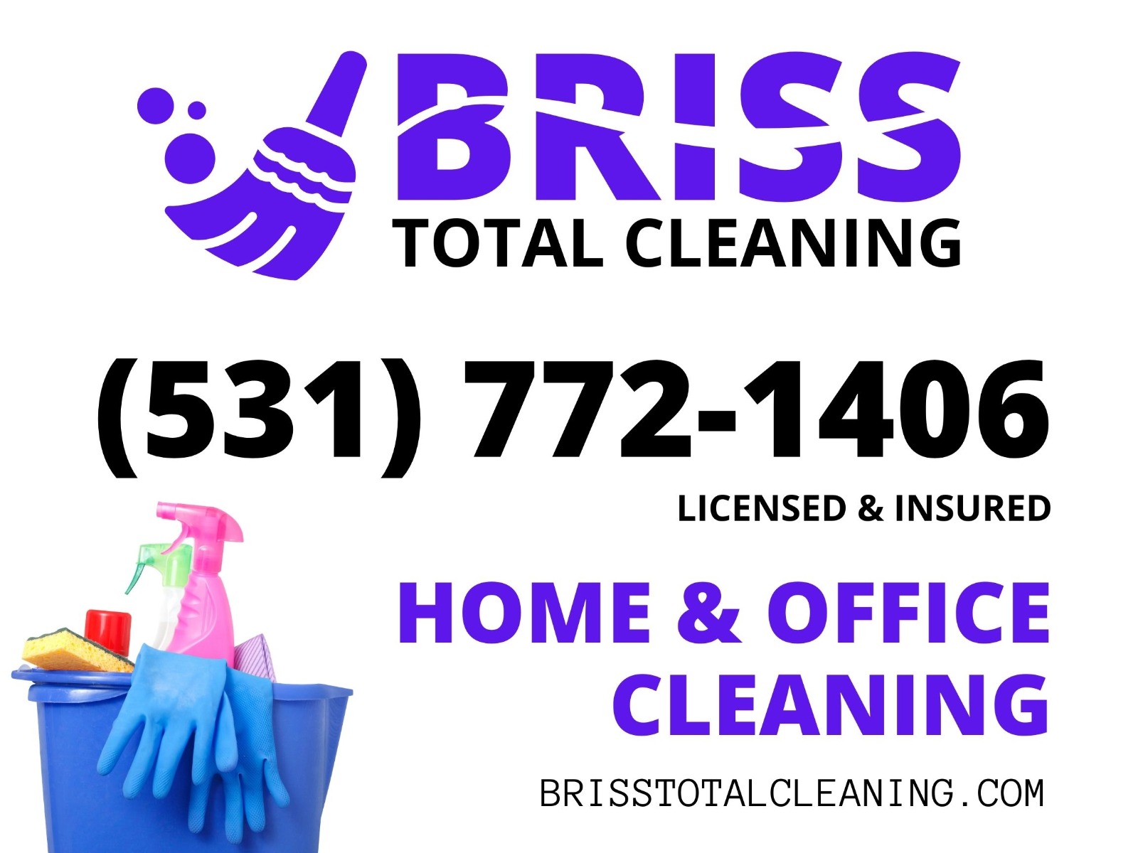 Briss Total Cleaning Logo