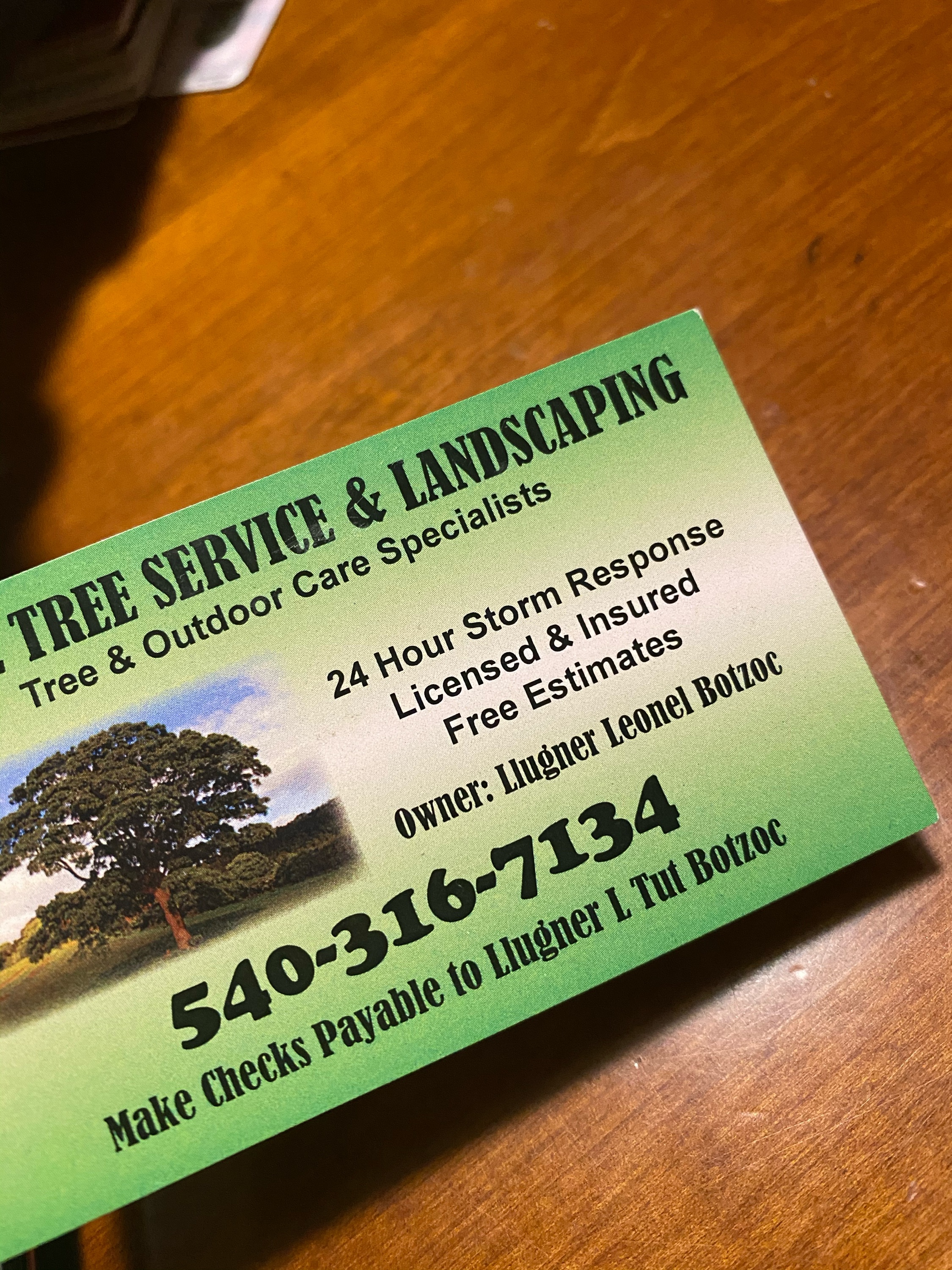 Hugo's Tree Service and Landscaping Logo