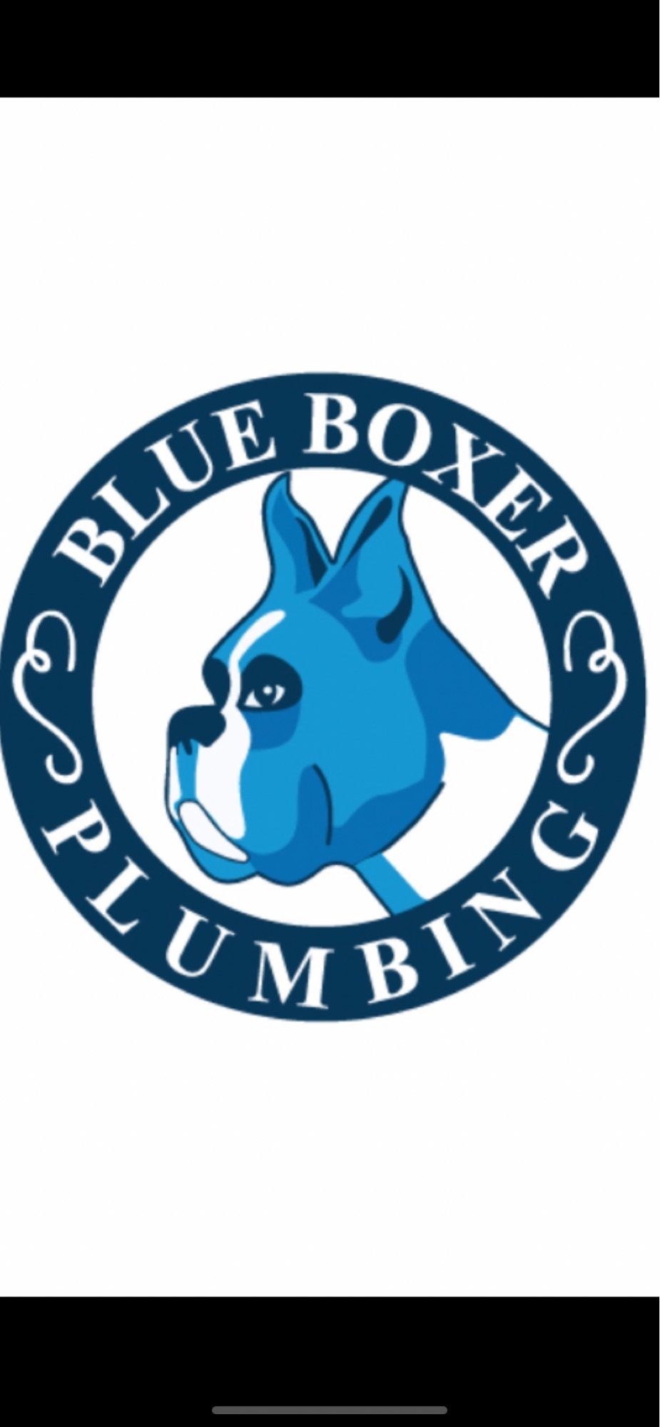 Blue Boxer Plumbing, LLC Logo