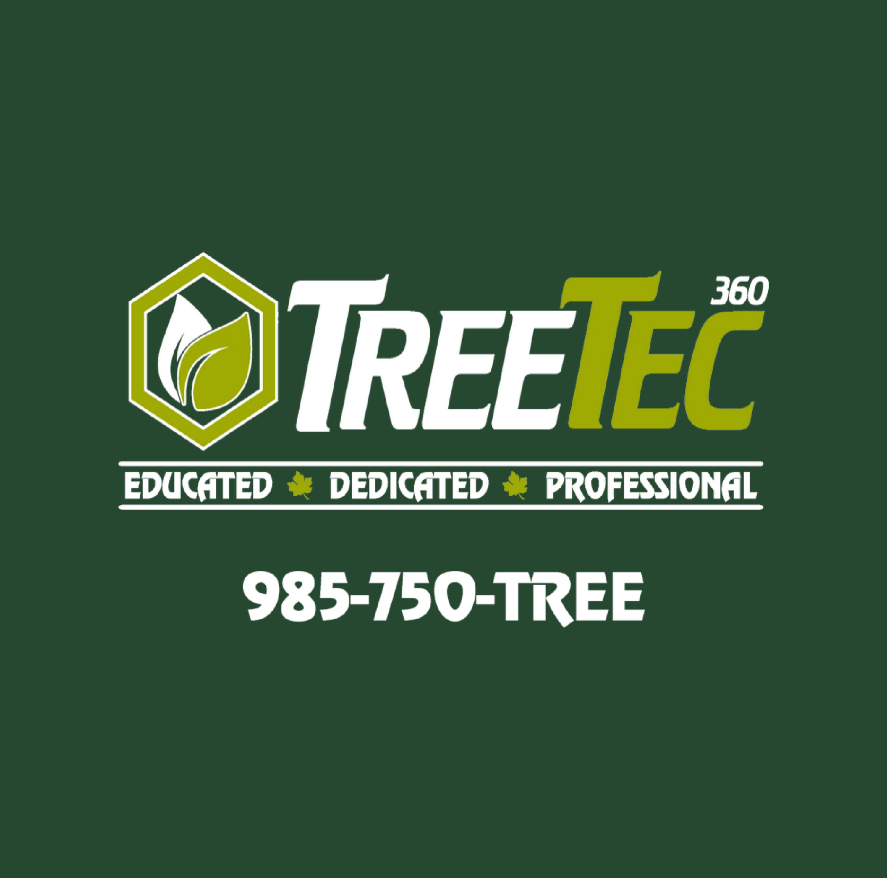 TreeTec 360 Logo