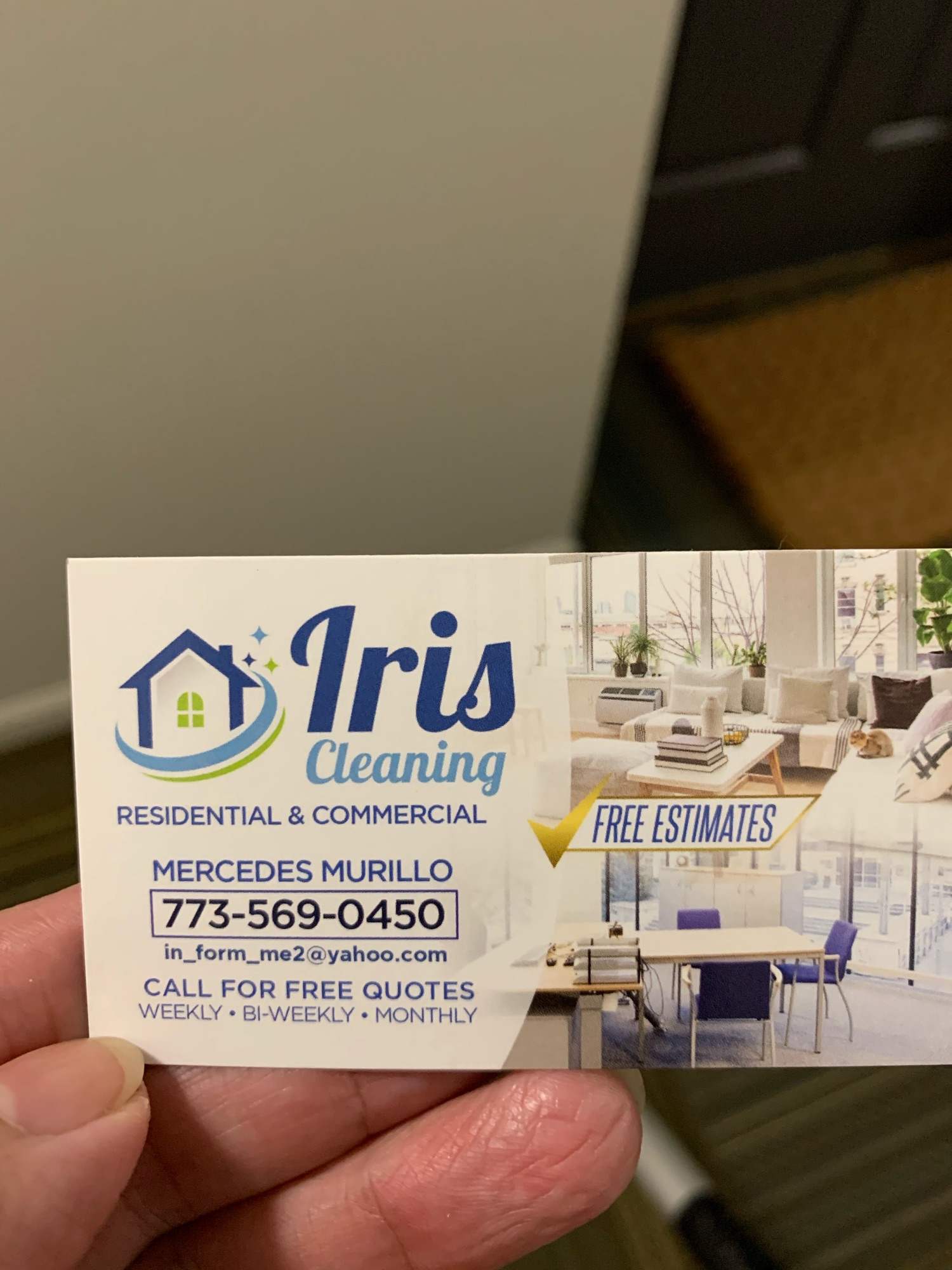 Iris Cleaning Logo