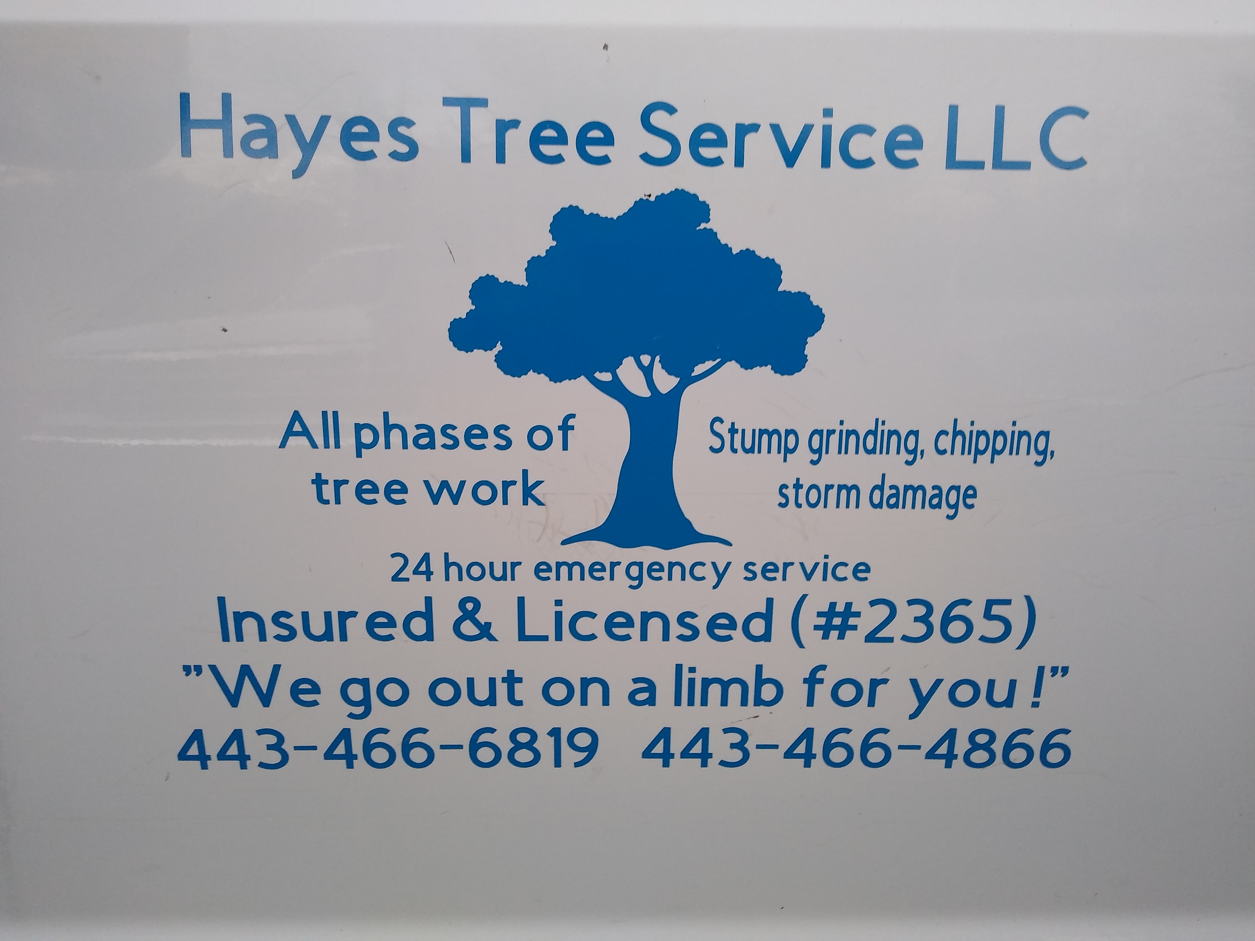 Hayes Tree Service, LLC Logo
