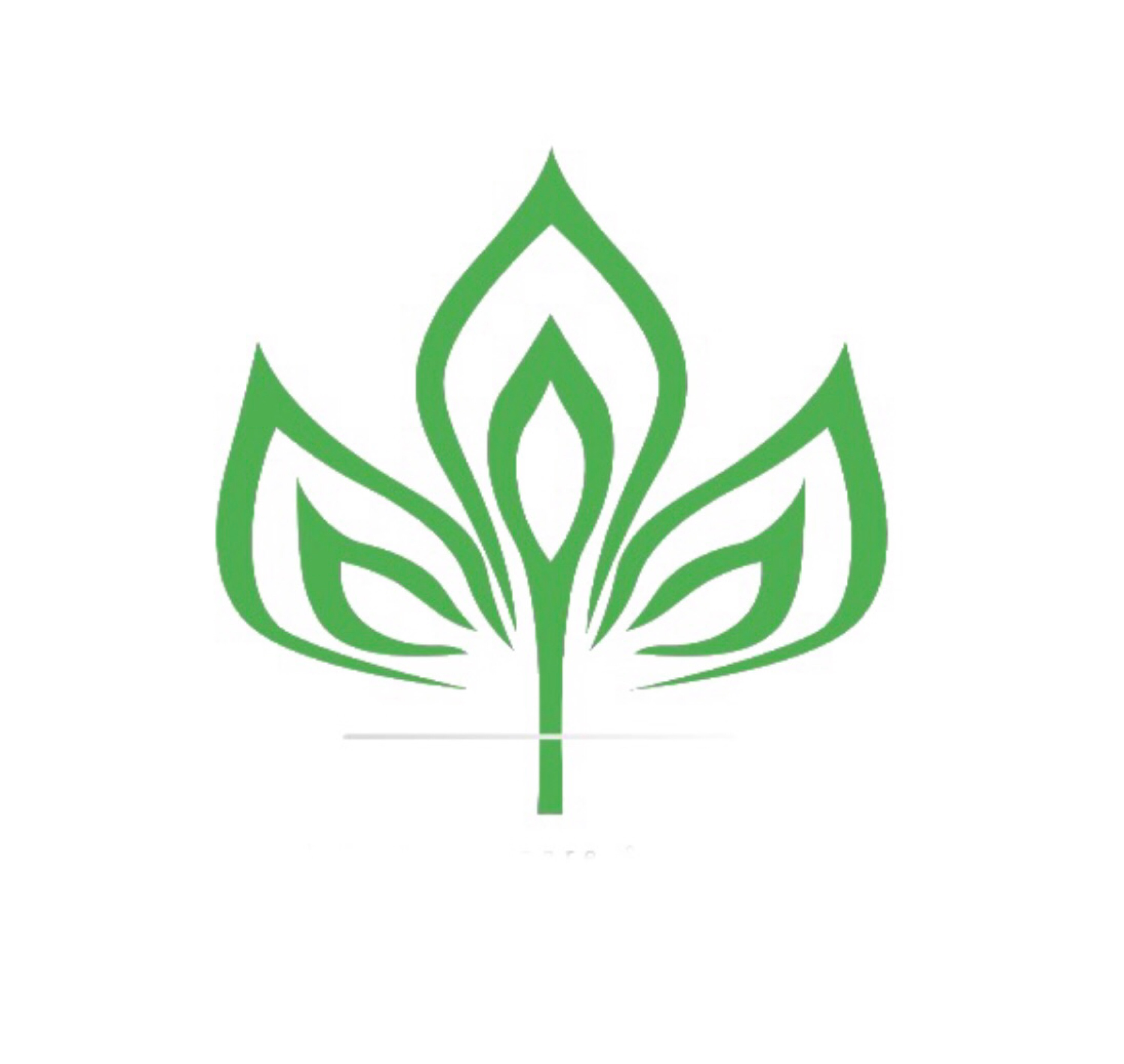 Aparicio Lawn Care Logo
