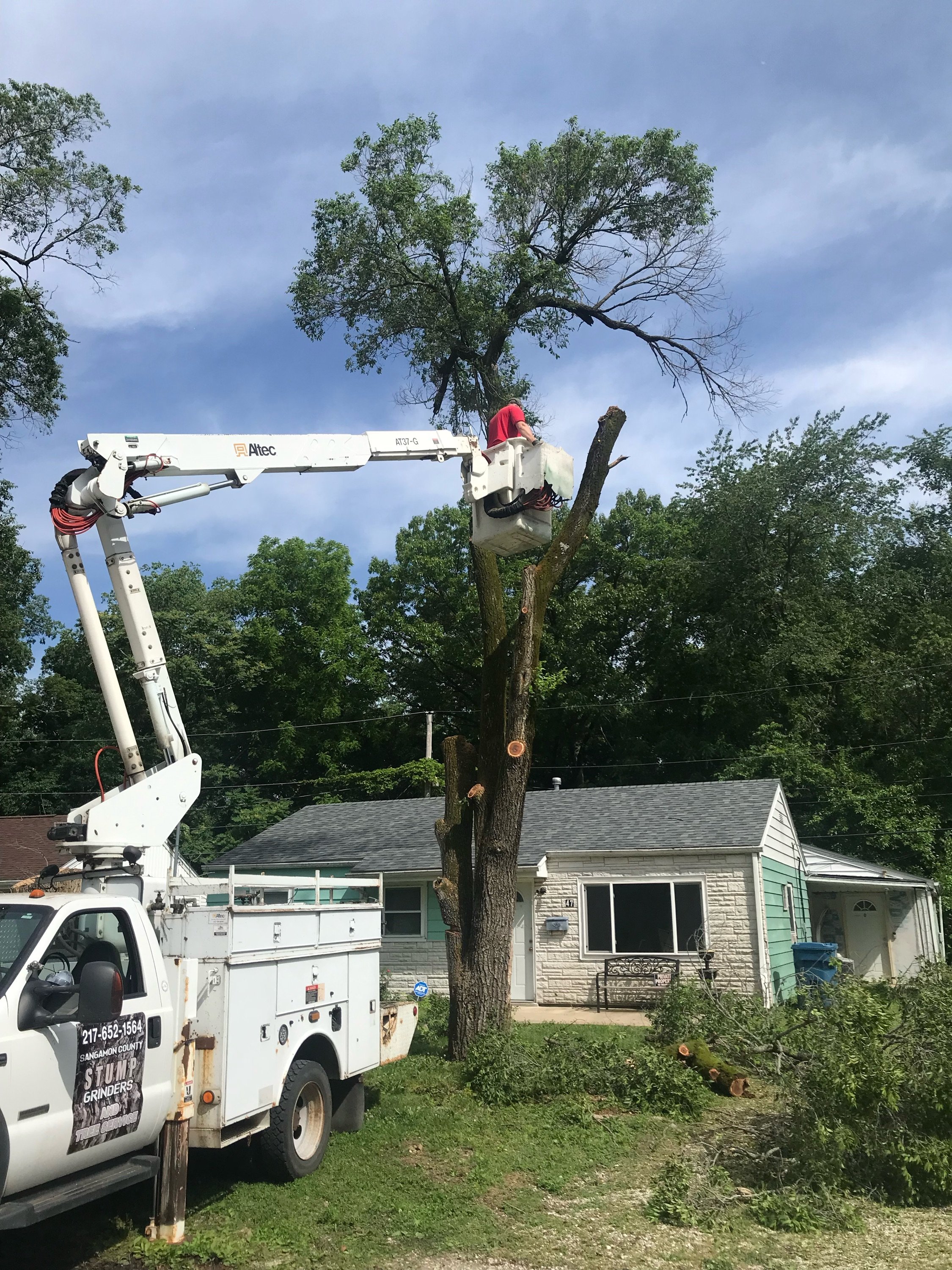 Sangamon County Stump Grinders and Tree Service Logo