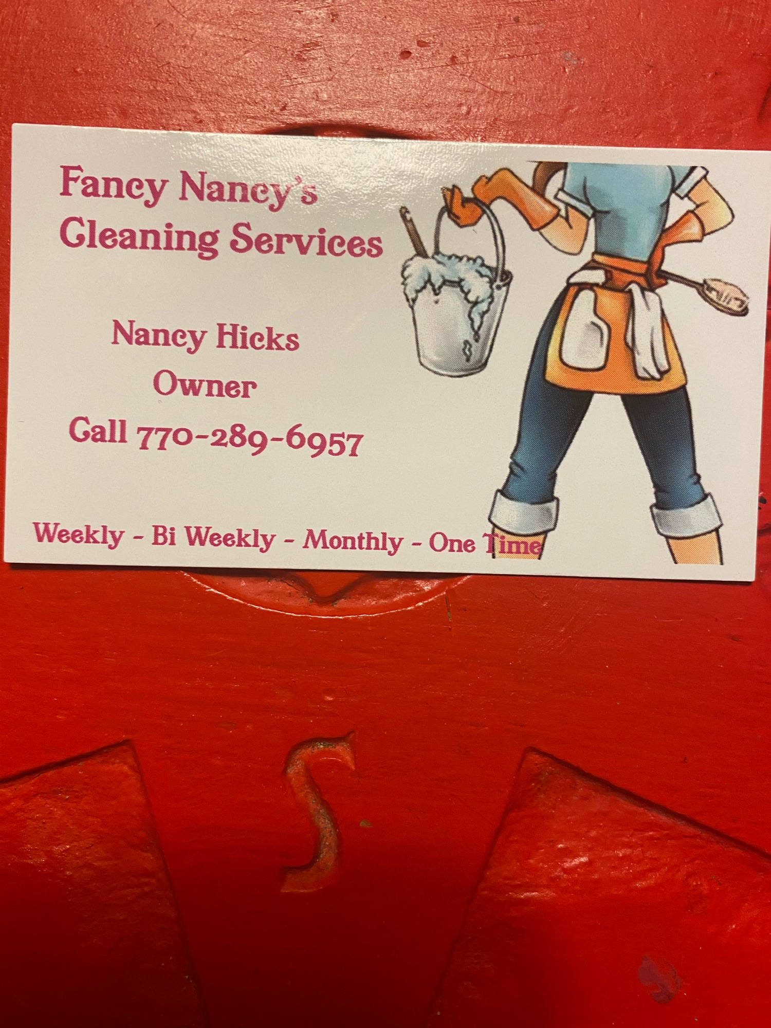 Fancy Nancy's Cleaning Services Logo