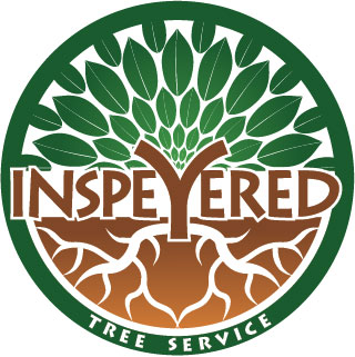 Inspeyered Tree Logo