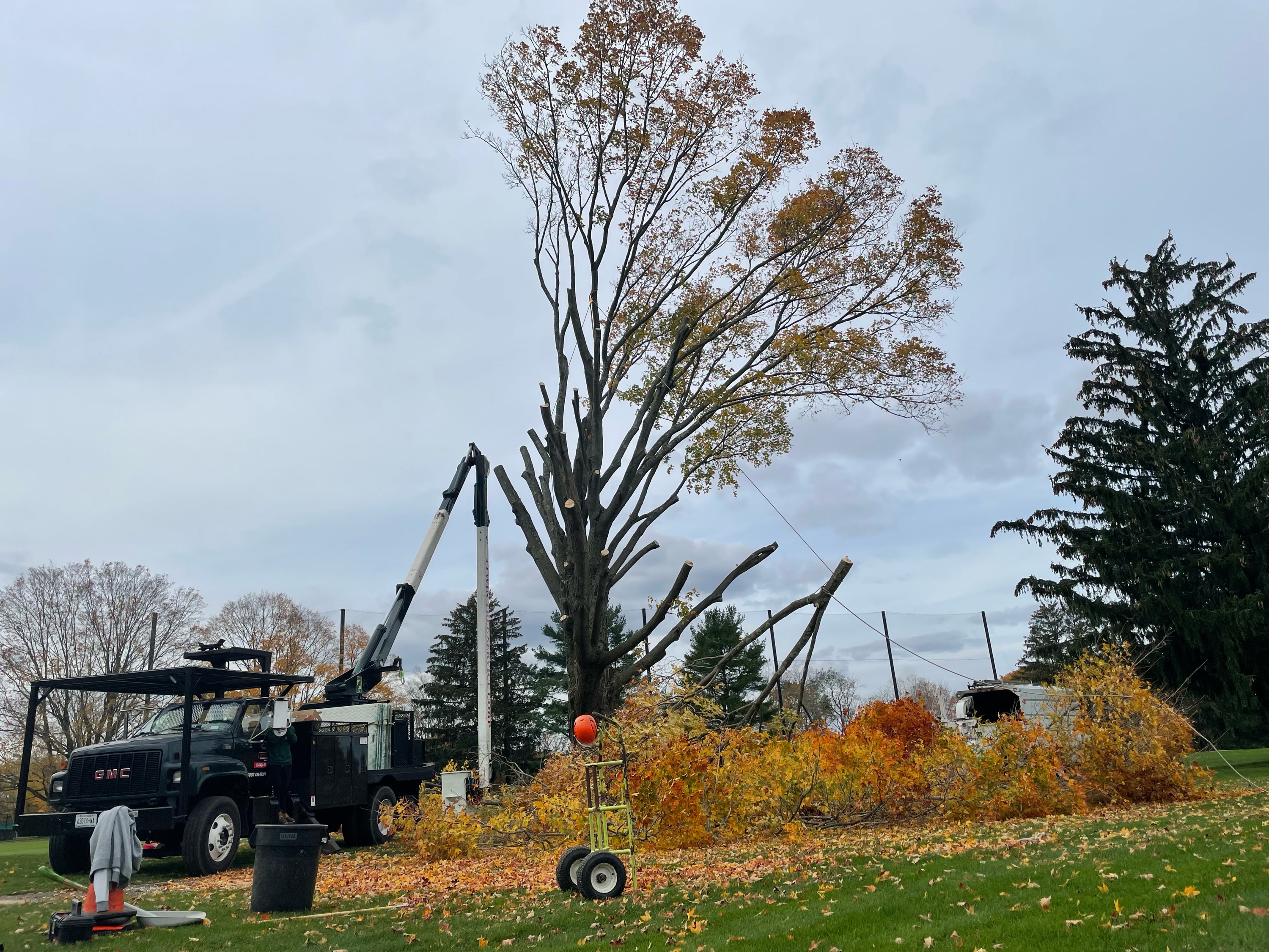 4 Twin Tree Service, Corp. Logo