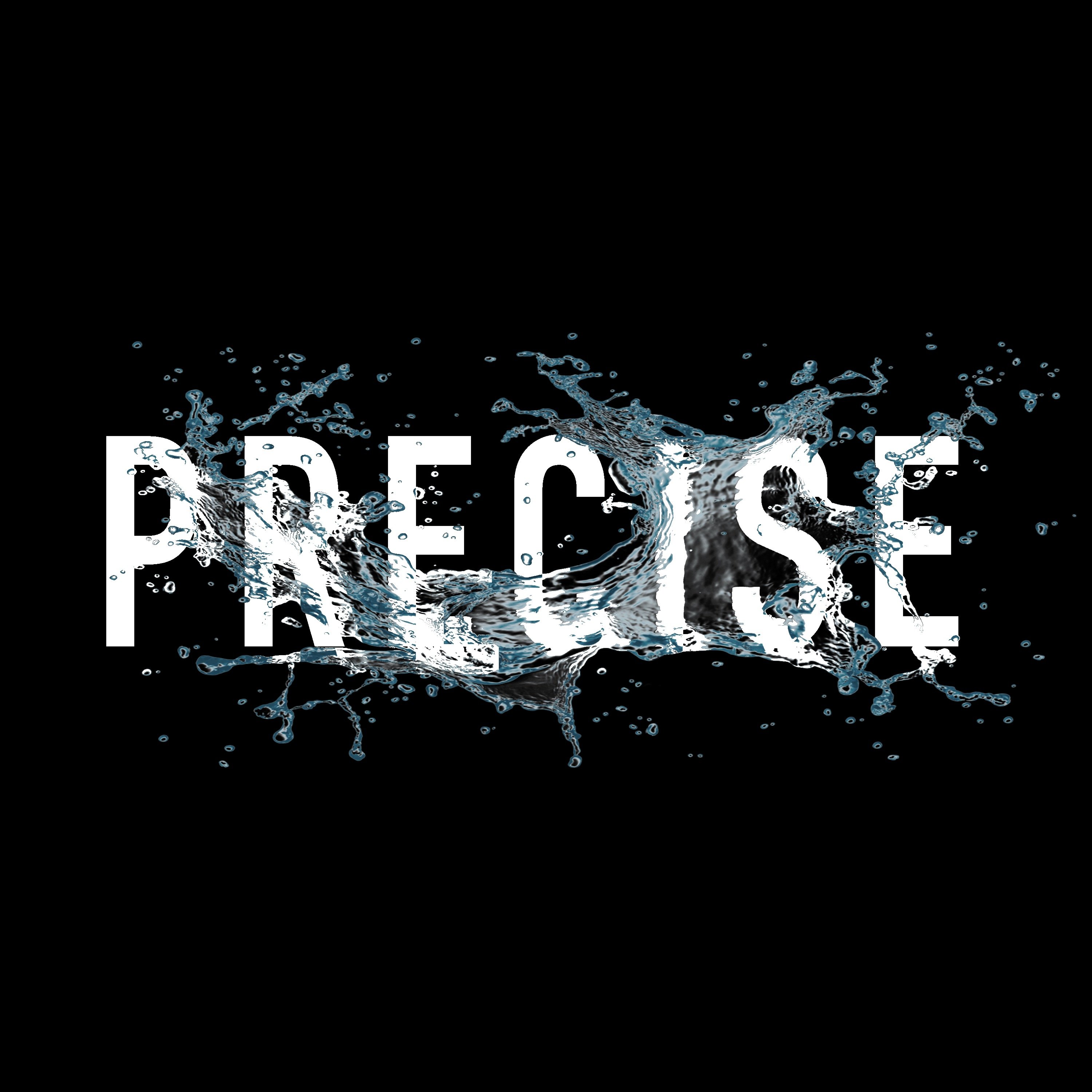 Precise, LLC Logo