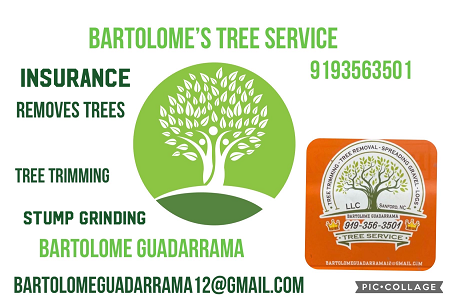 Bartolome's Tree Service Logo
