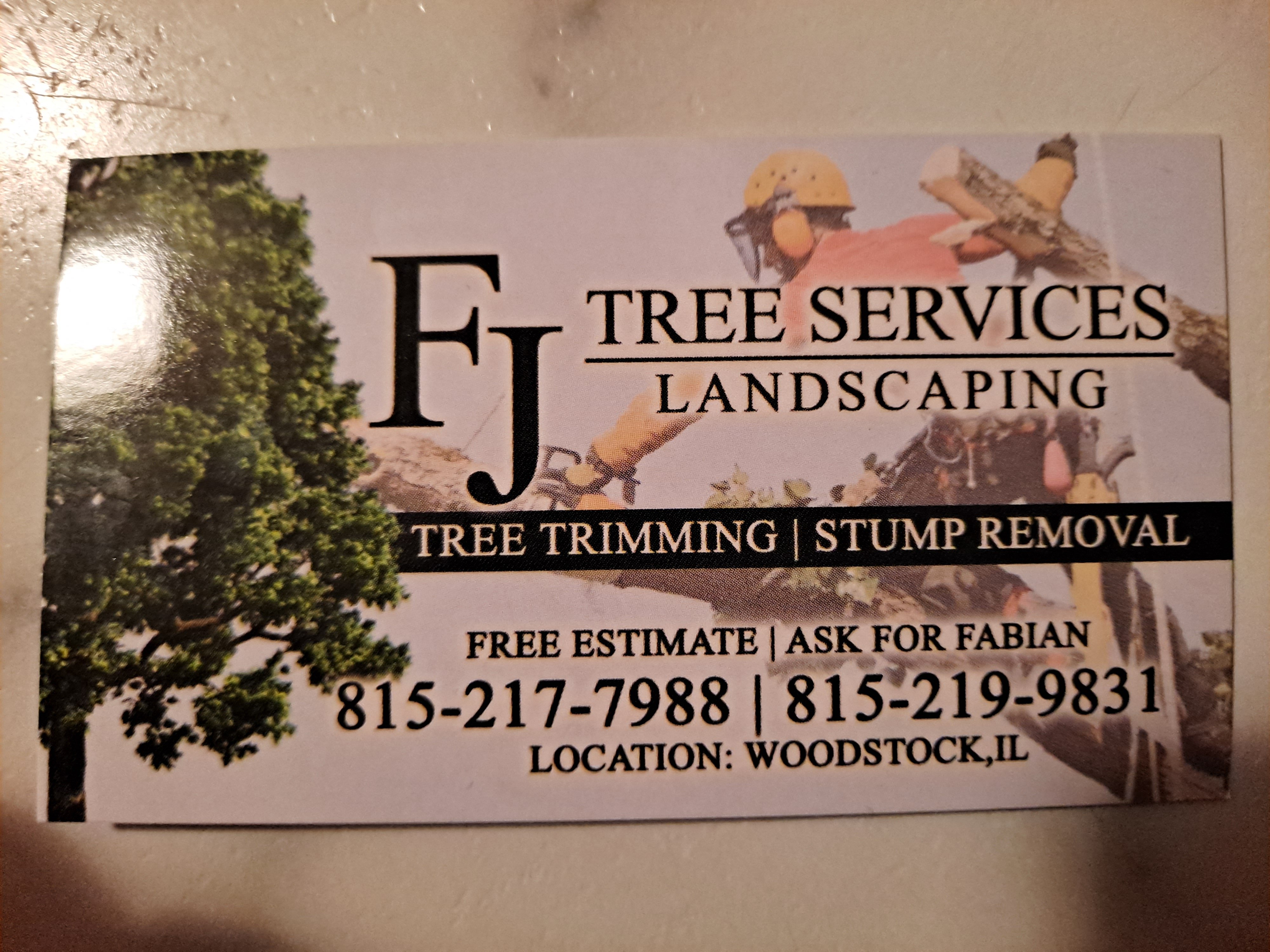 FJ Tree services & Landscaping Logo