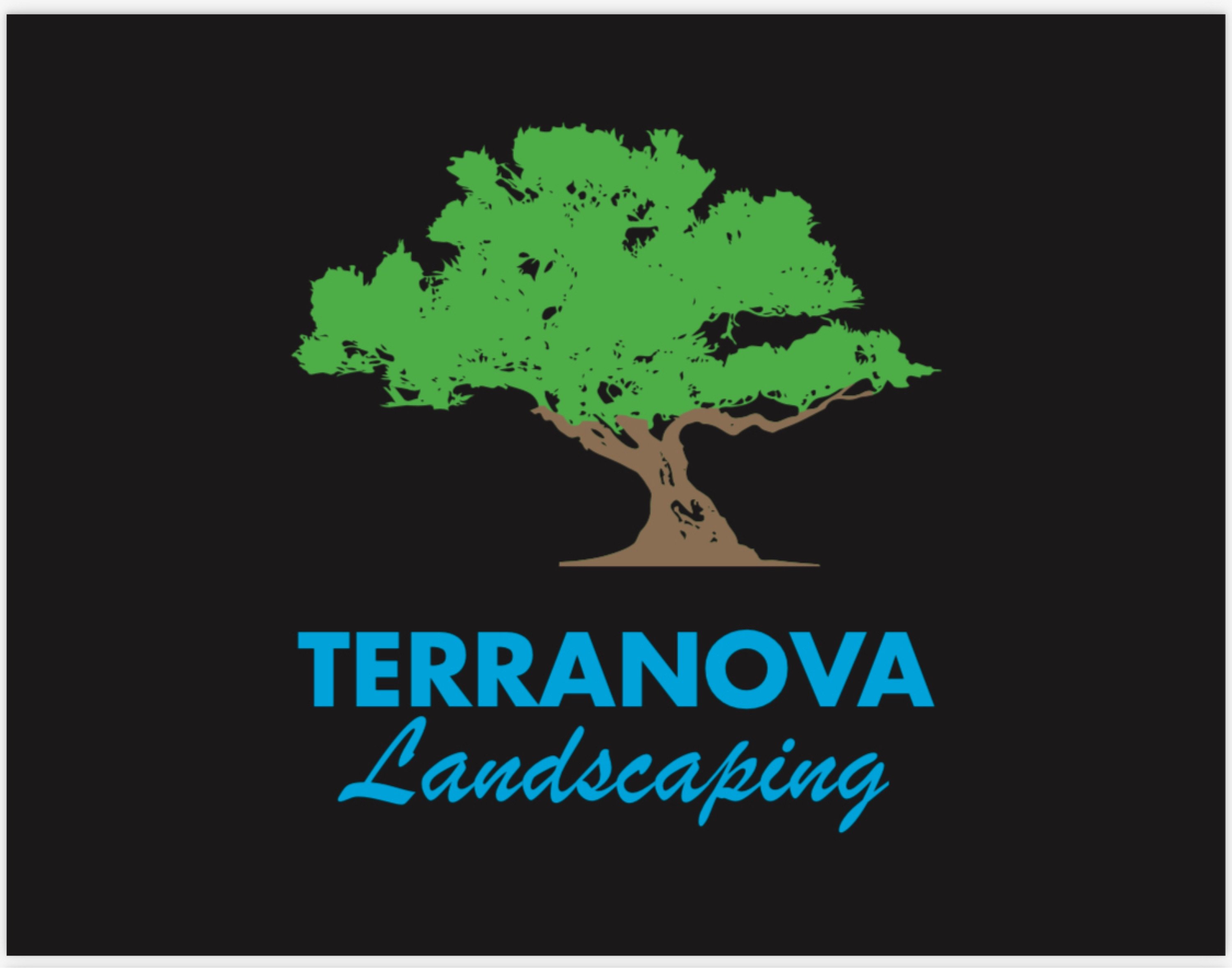 Terranova Landscaping Corp Logo