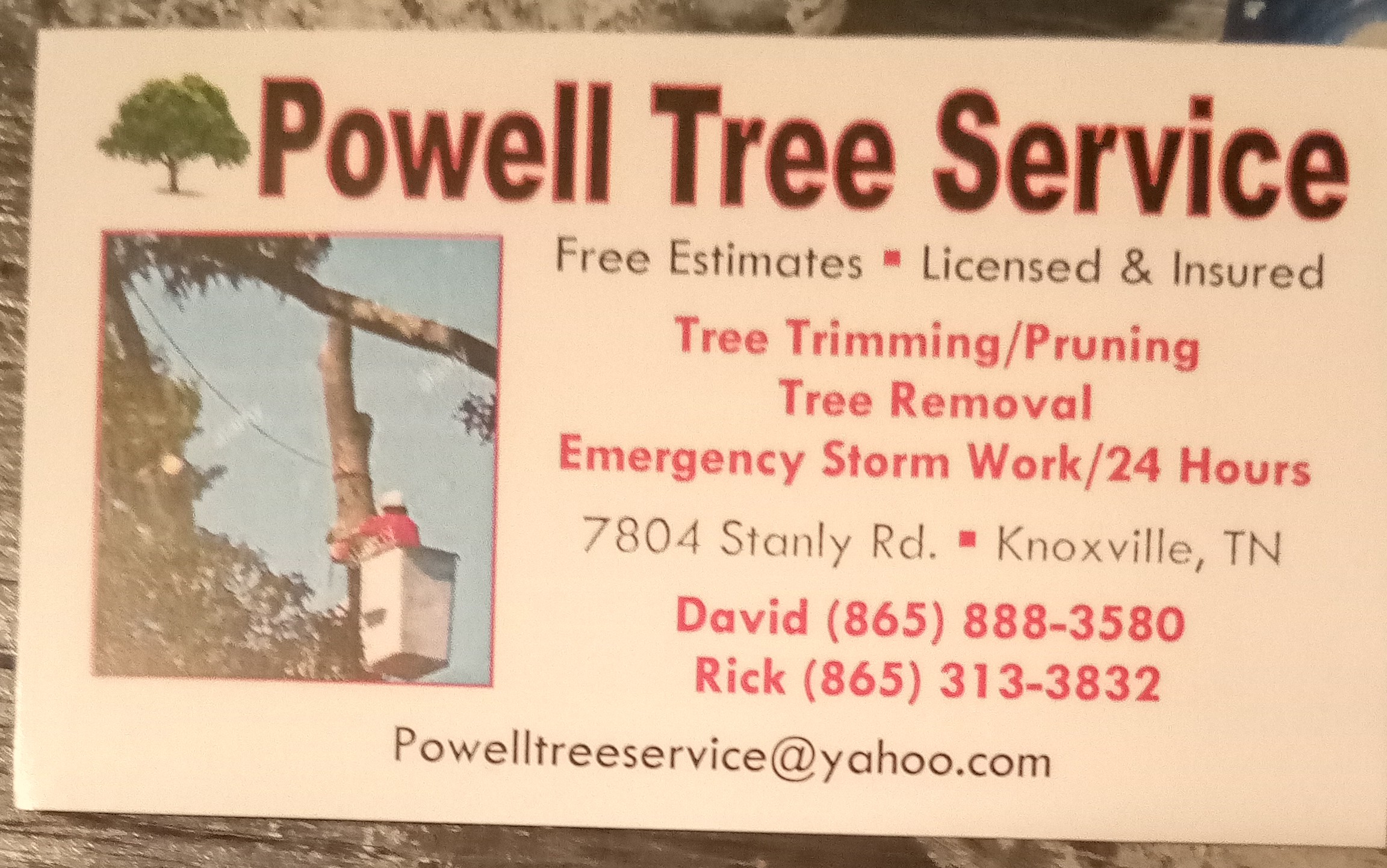 Powell Tree Service Logo